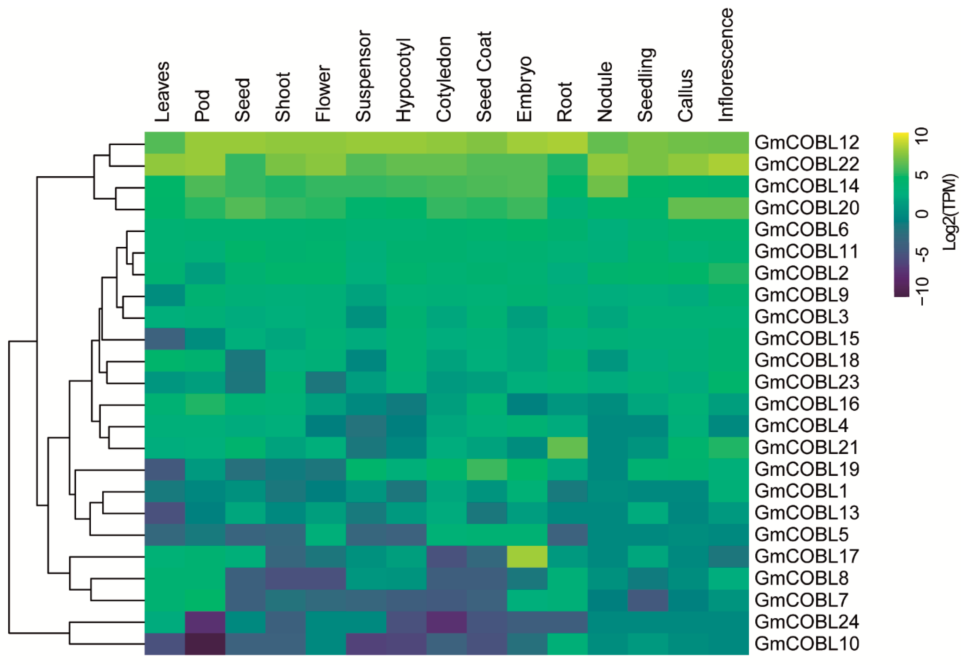 Plants 10 00167 g003