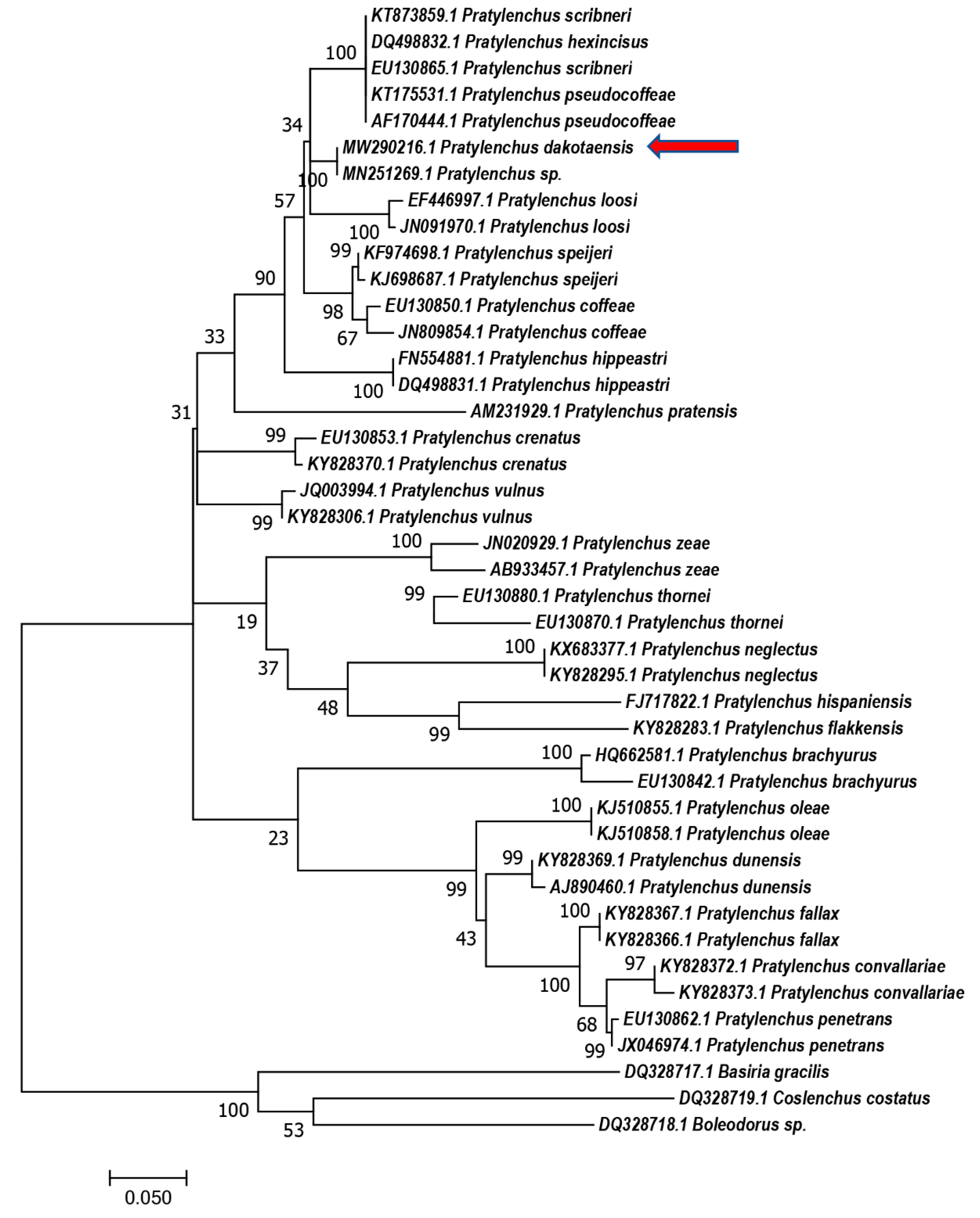 Plants 10 00168 g004 Plants 10 00168 g004