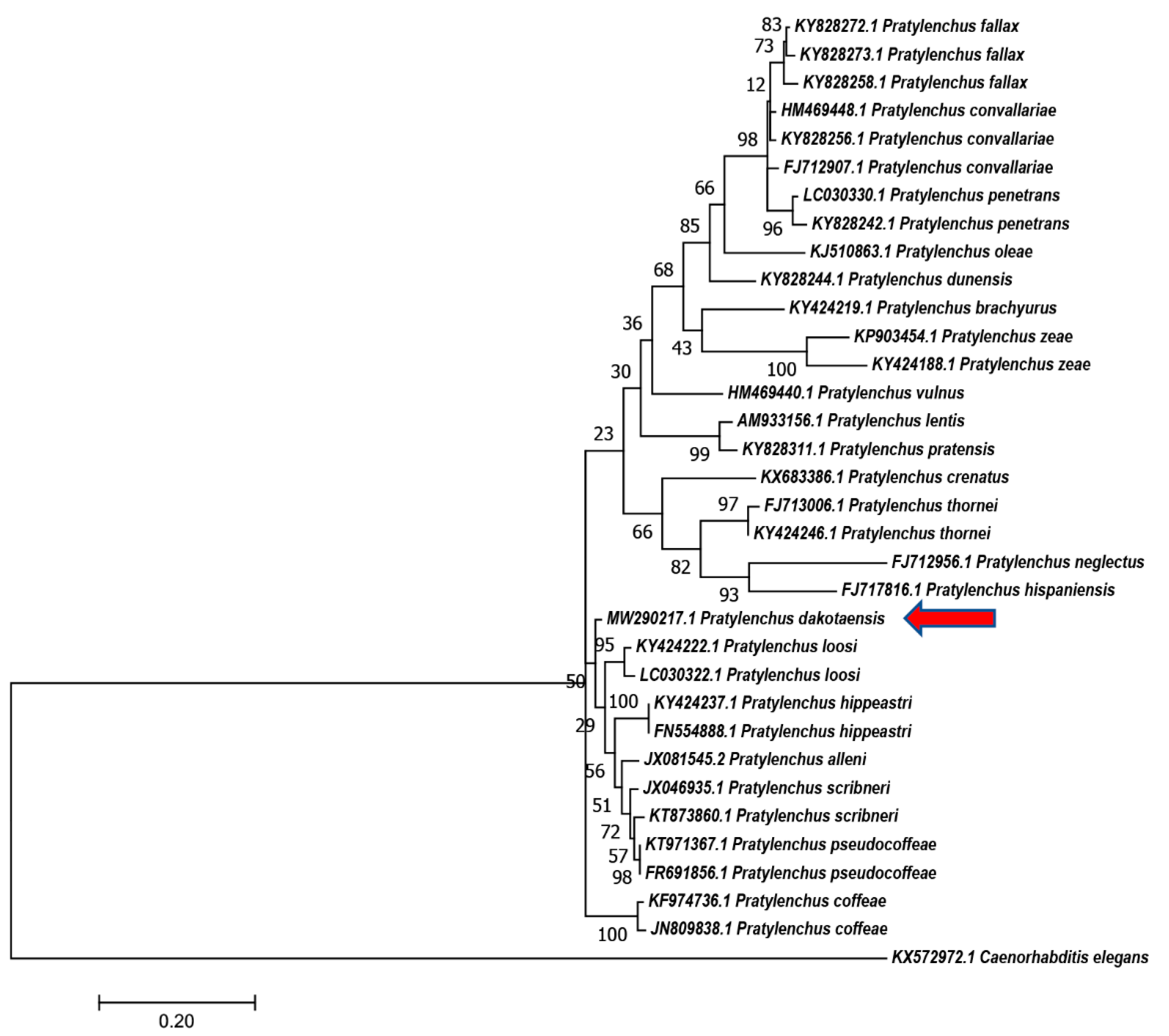 Plants 10 00168 g005 Plants 10 00168 g005