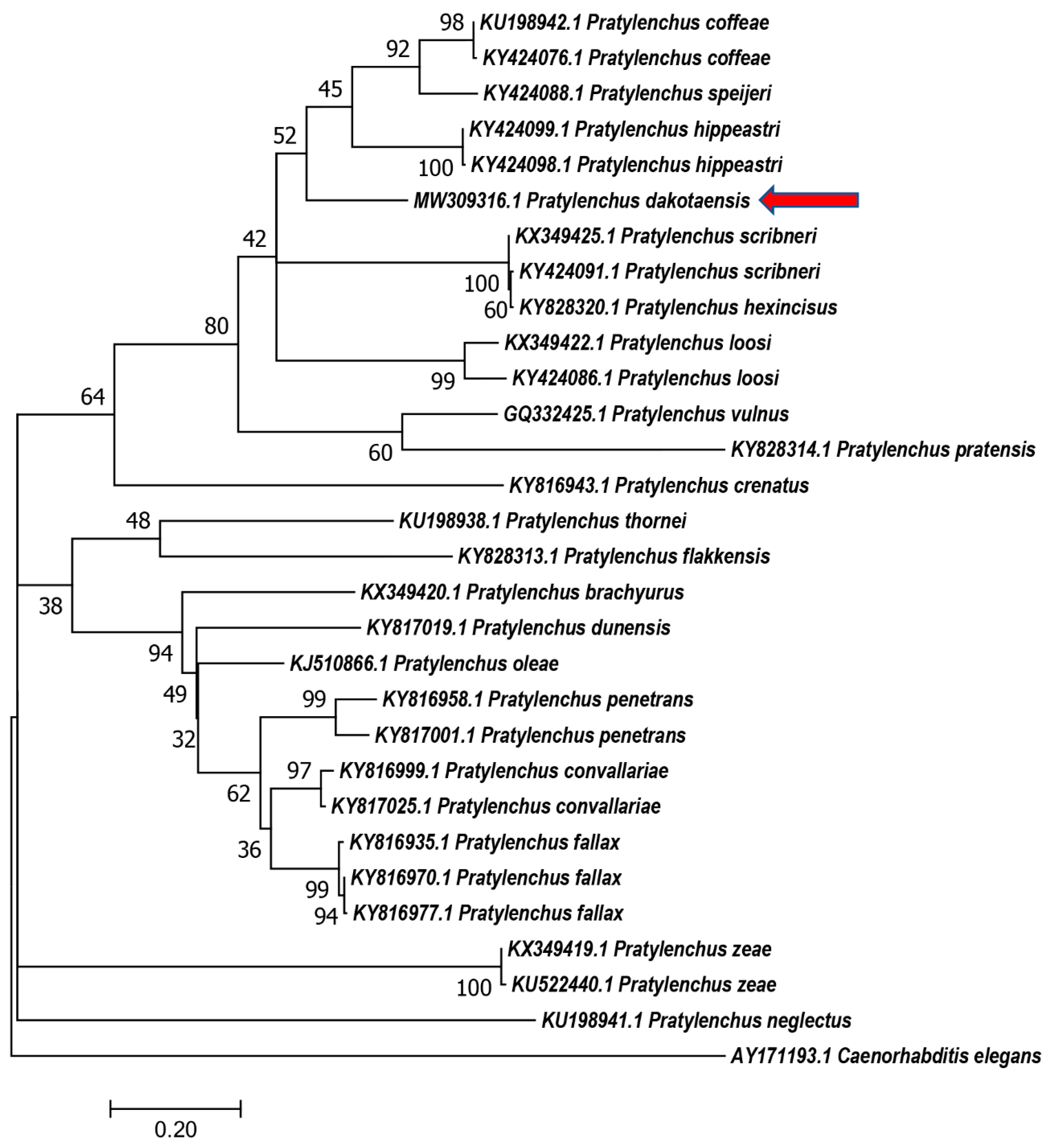 Plants 10 00168 g006 Plants 10 00168 g006