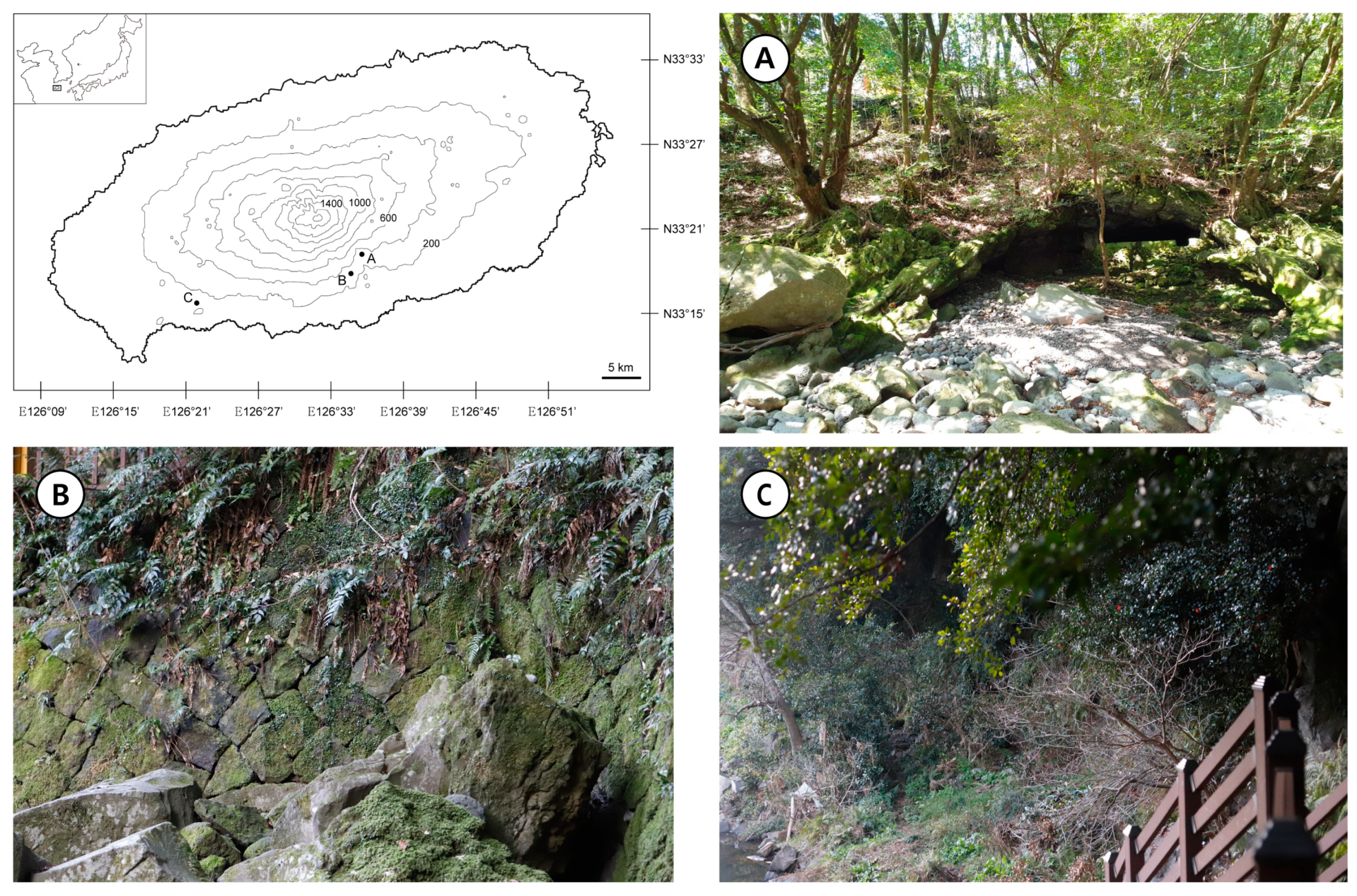 Plants 10 00170 g001 Plants 10 00170 g001