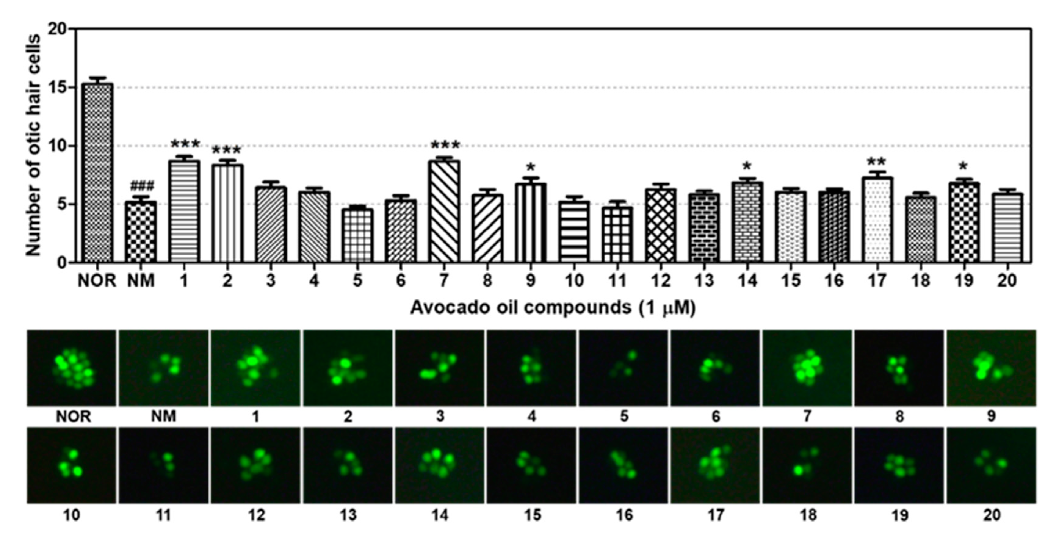 Plants 10 00171 g003 Plants 10 00171 g003