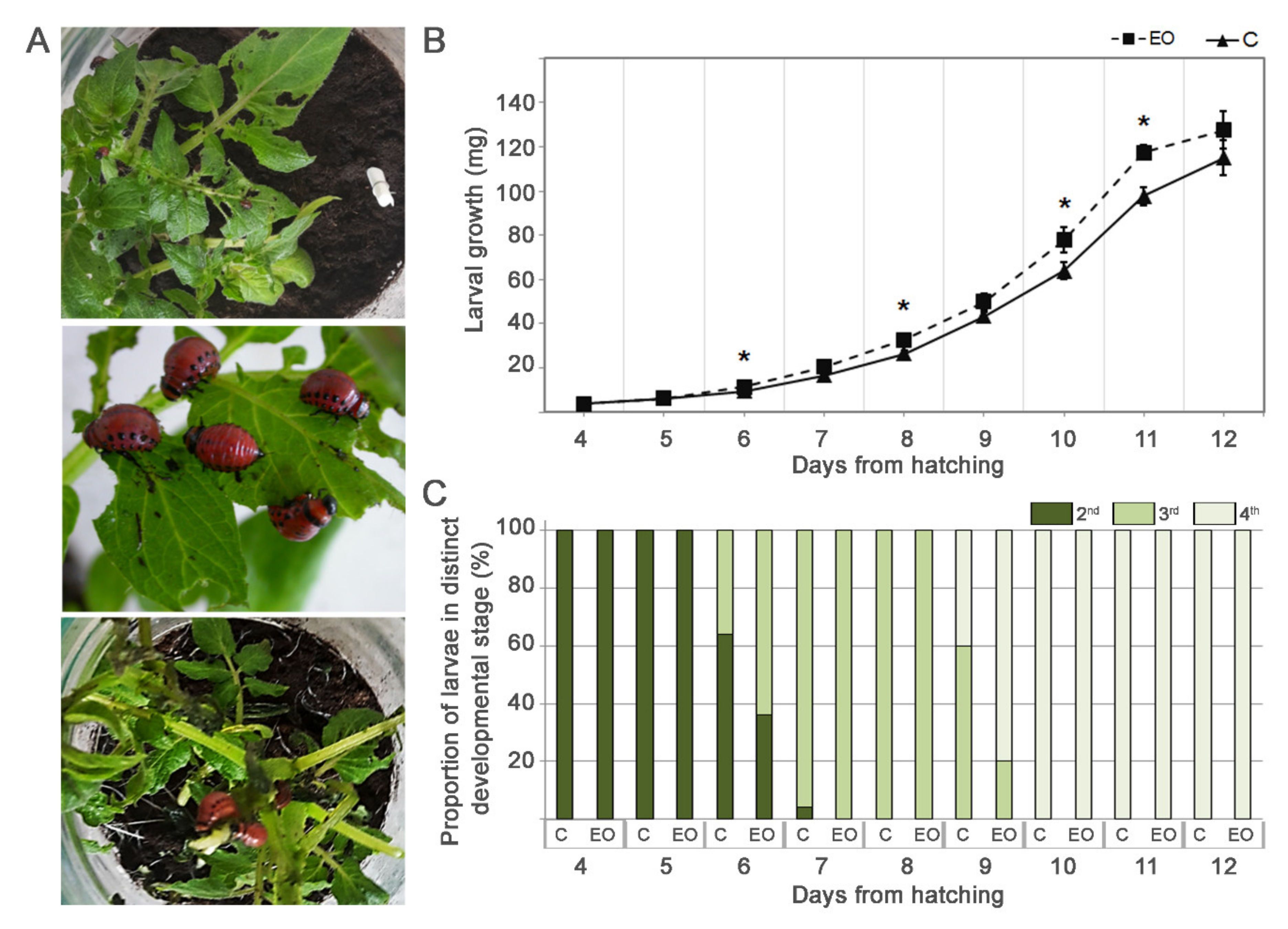 Plants 10 00172 g004 Plants 10 00172 g004