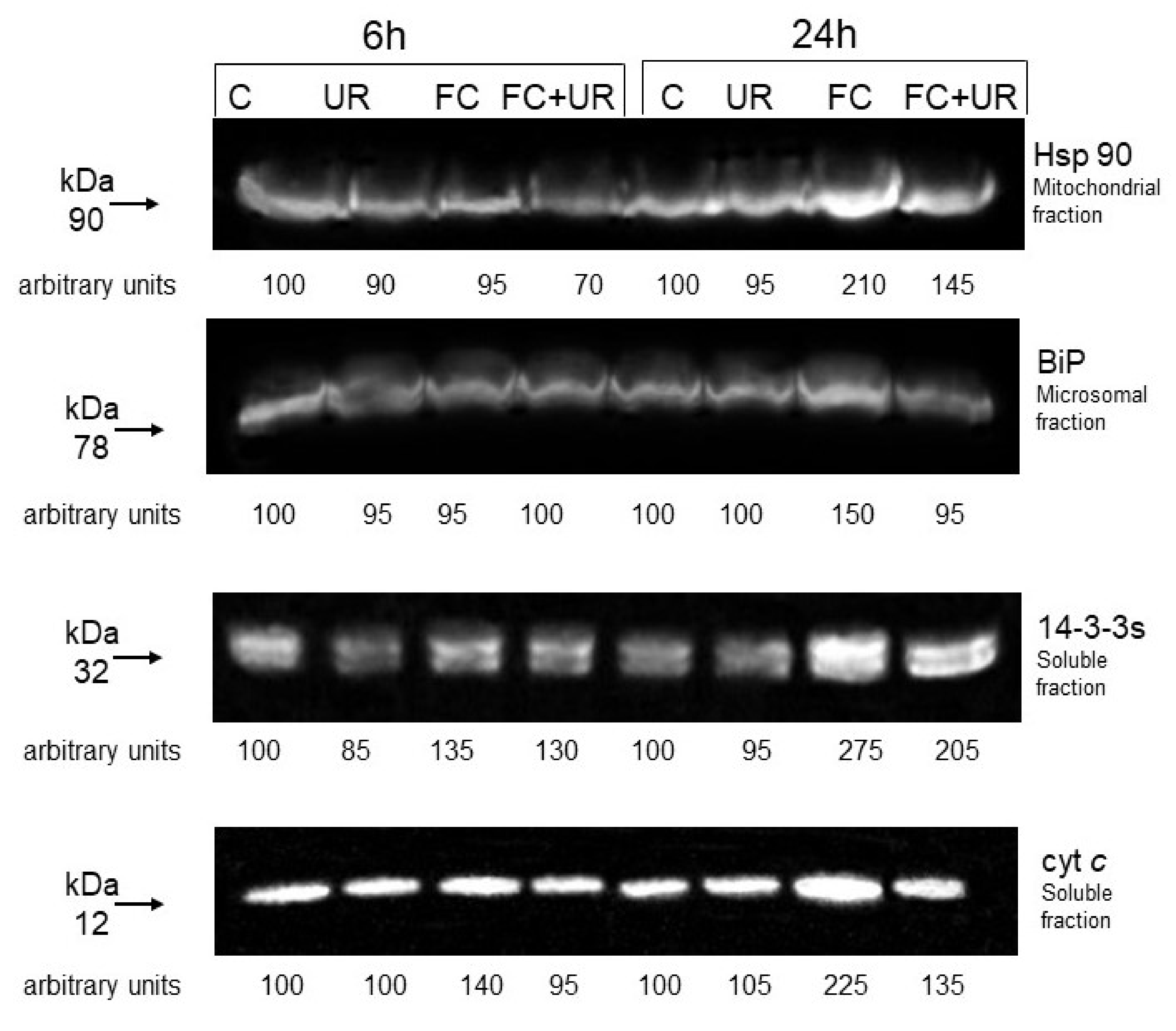 Plants 10 00182 g007
