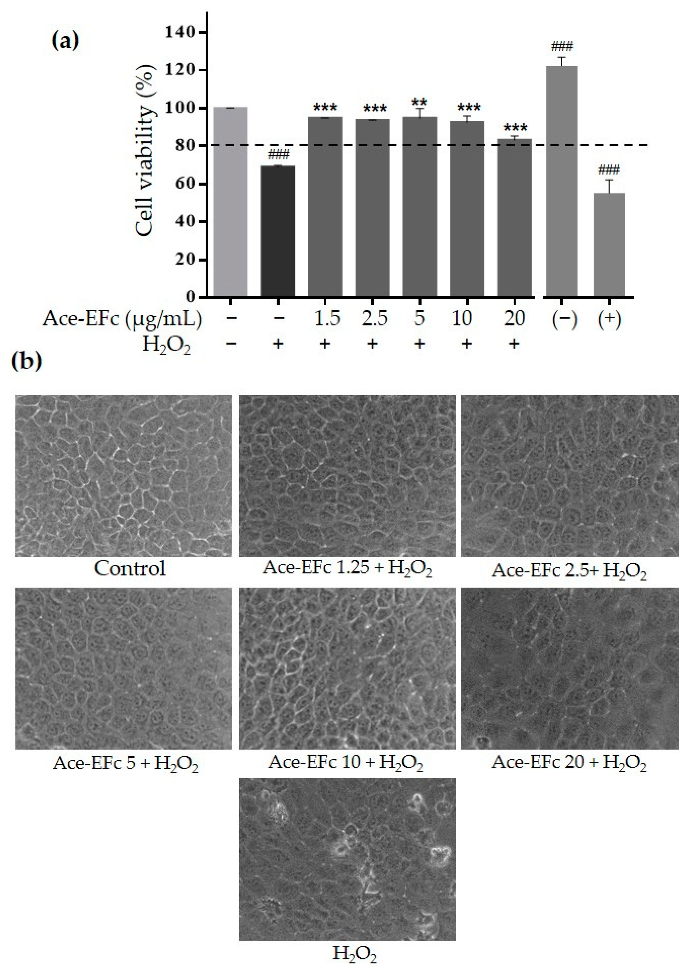 Plants 10 00183 g004