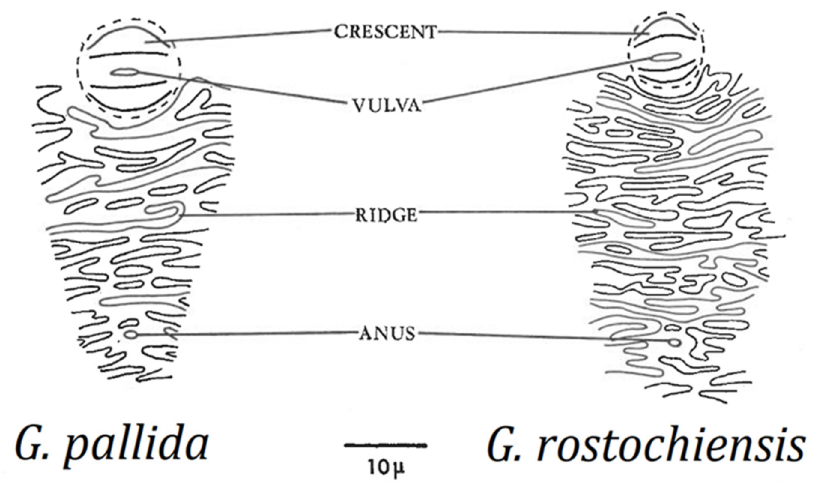 Plants 10 00184 g003