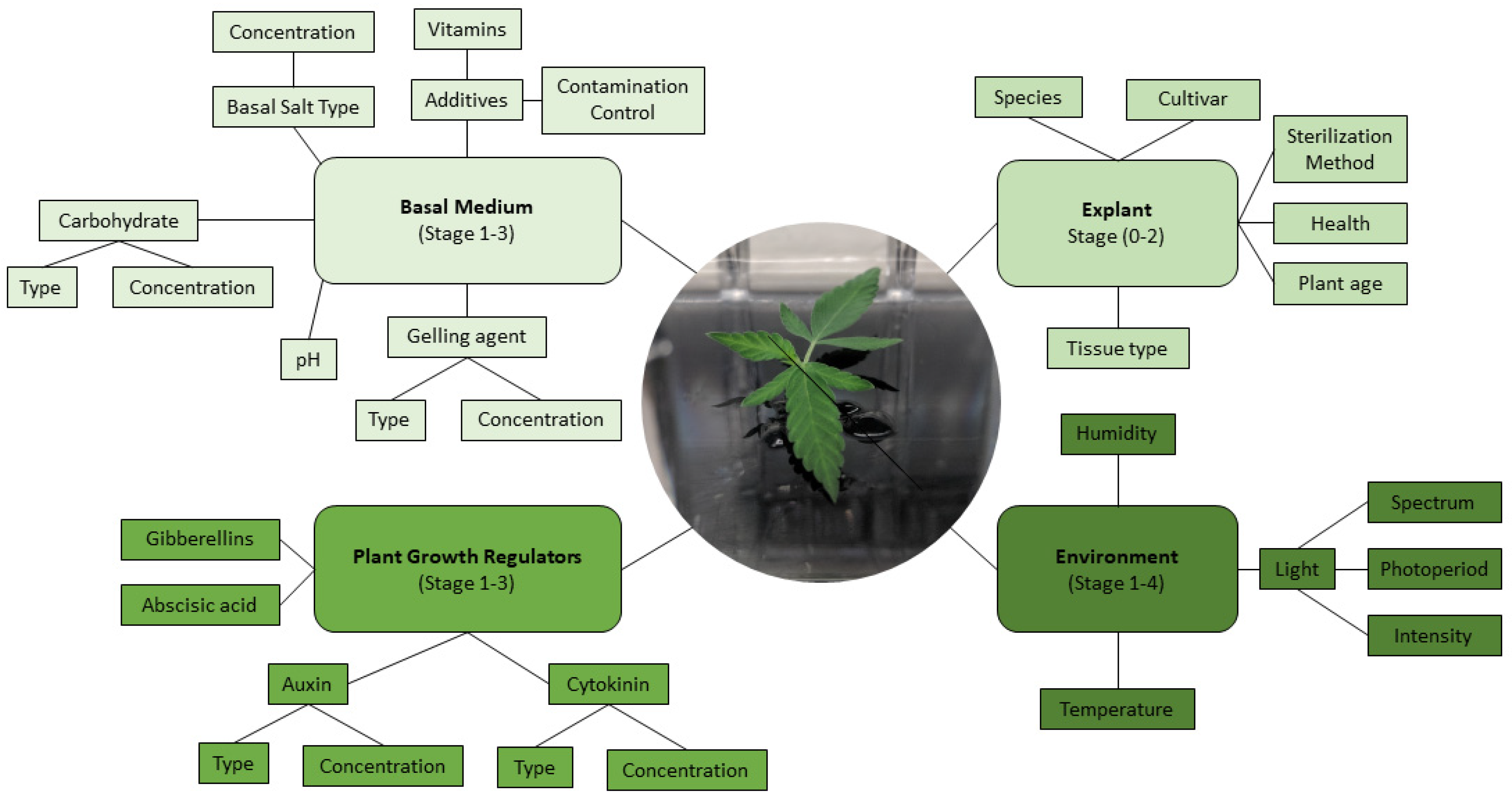 Plants 10 00185 g005
