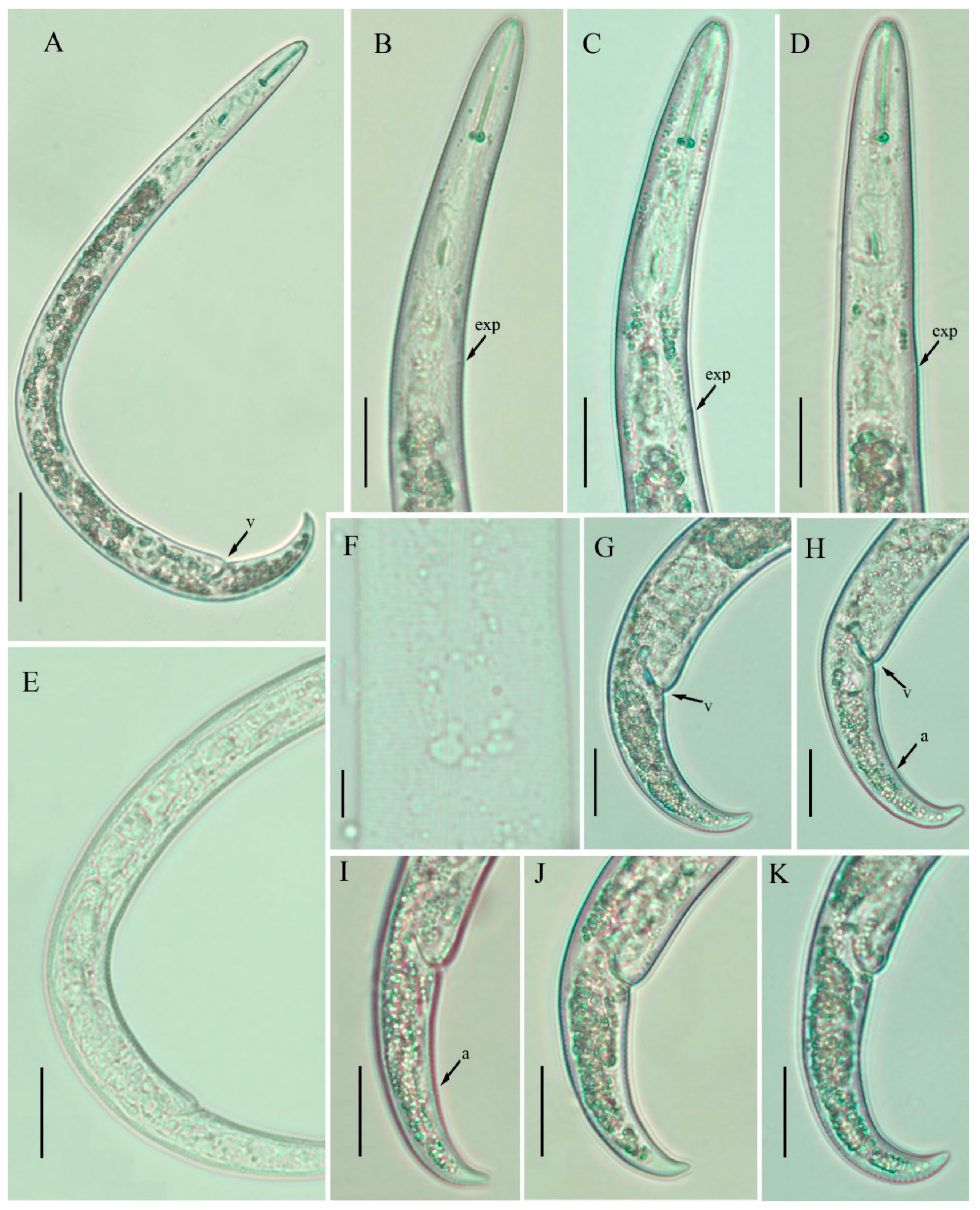 Plants 10 00188 g001 Plants 10 00188 g001