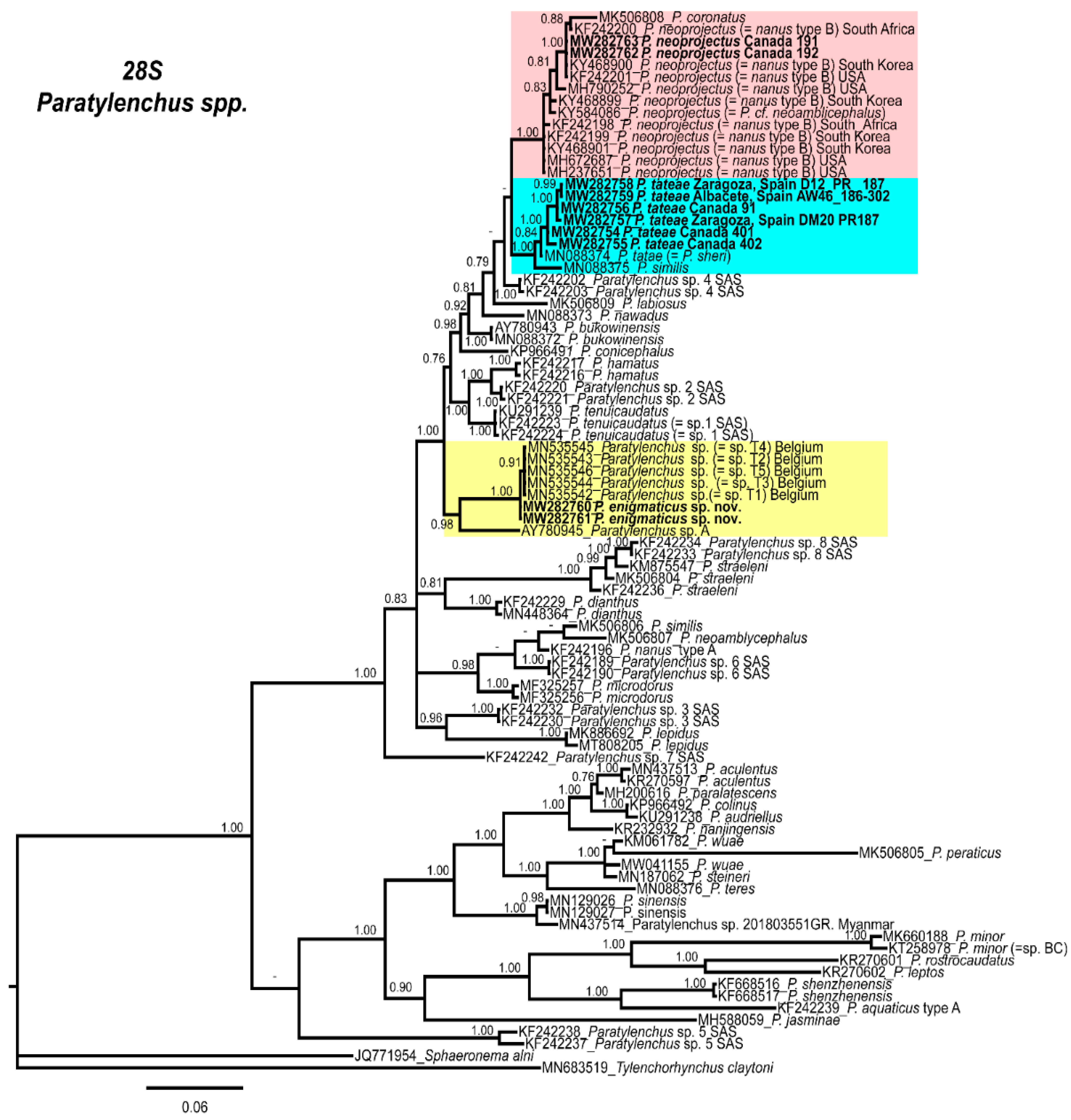 Plants 10 00188 g009 Plants 10 00188 g009