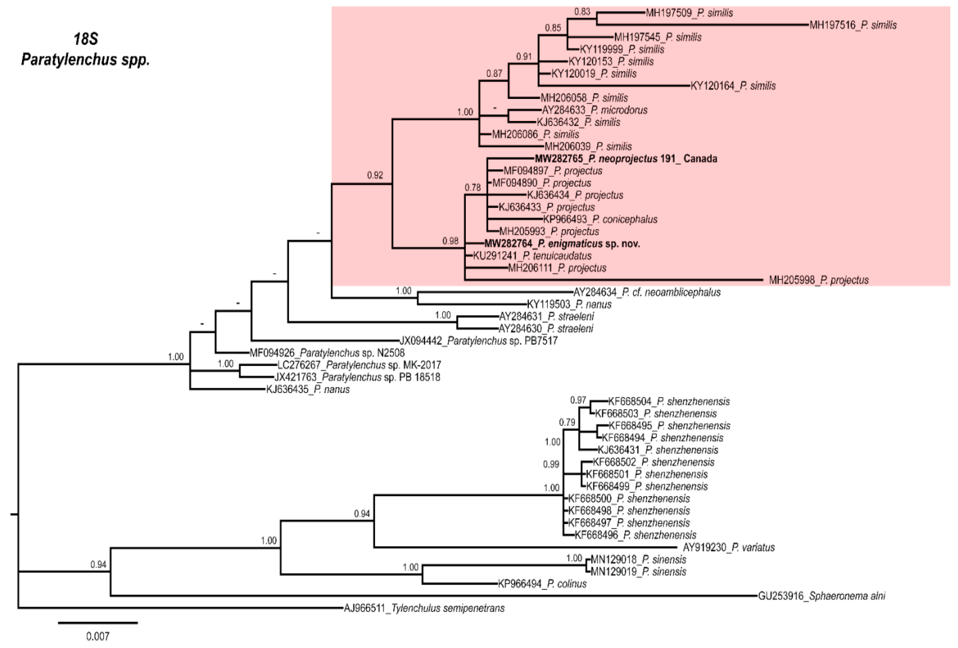 Plants 10 00188 g011 Plants 10 00188 g011