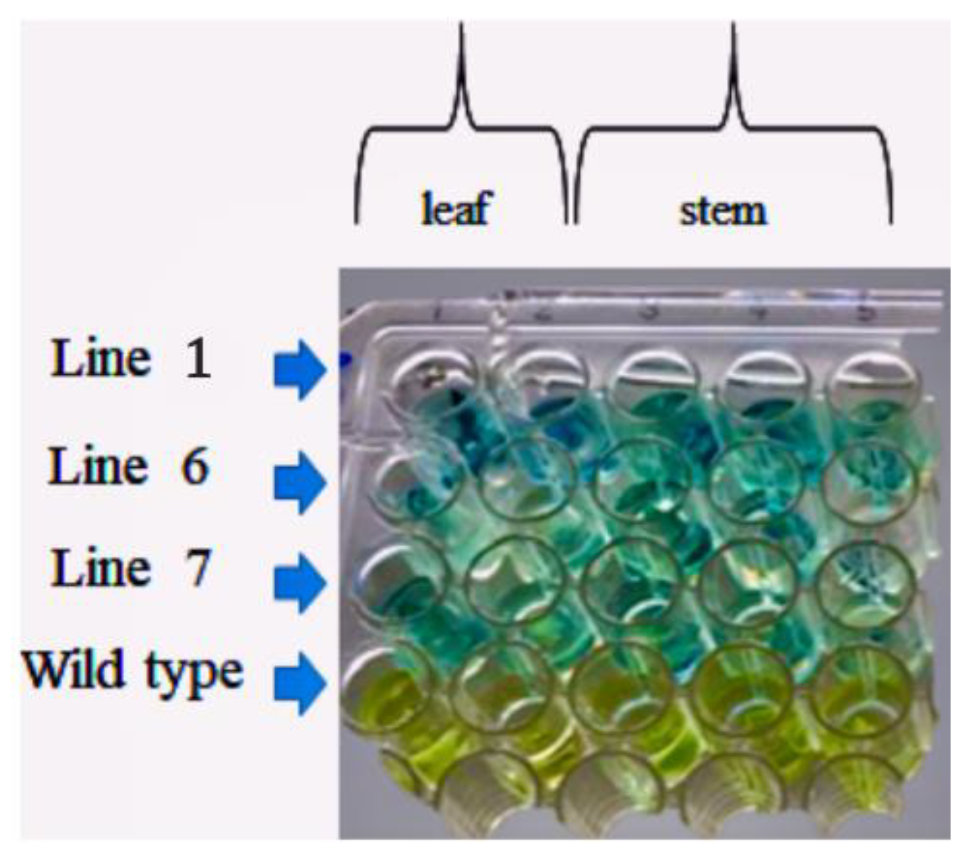Plants 10 00198 g006 Plants 10 00198 g006
