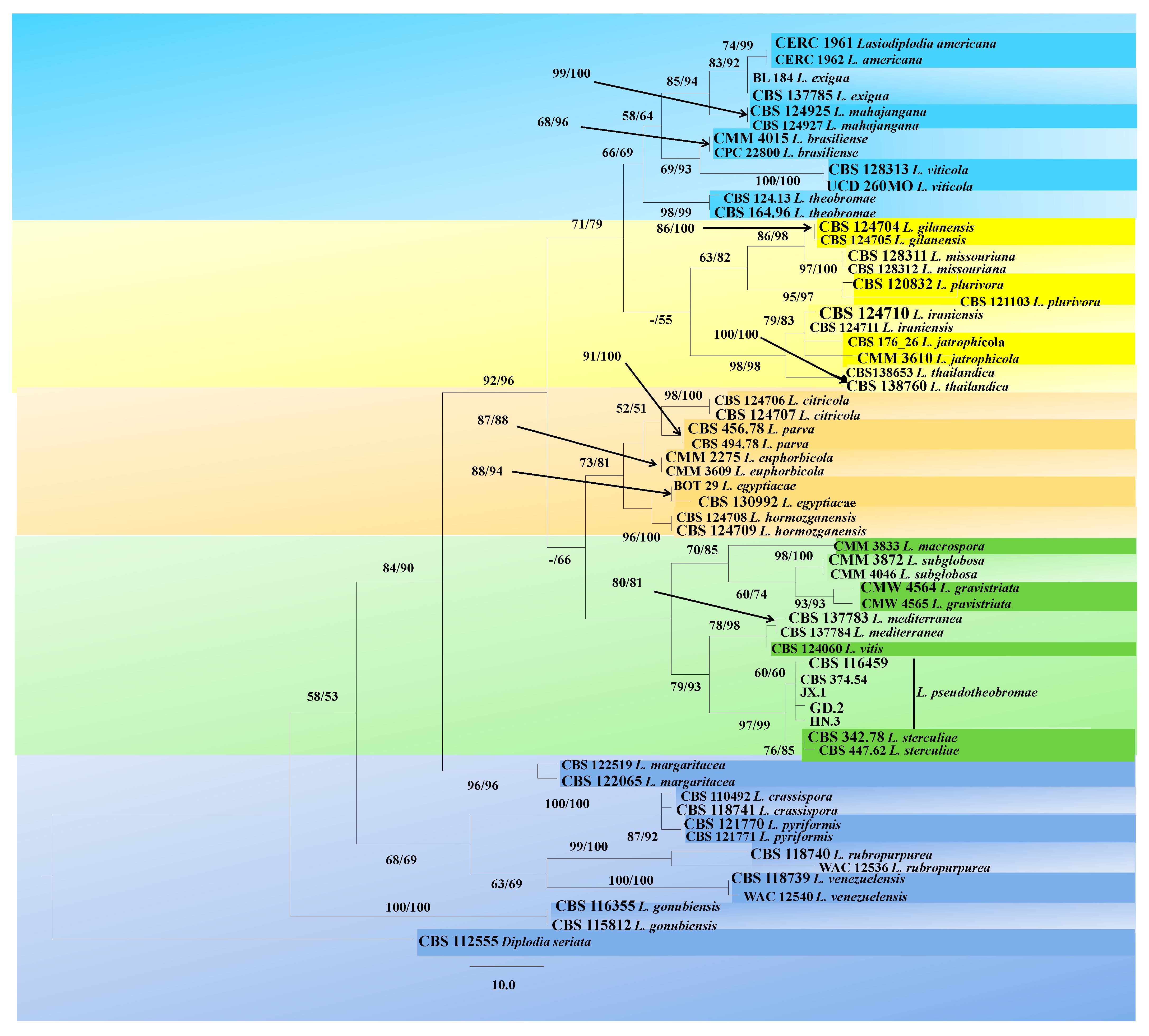 Plants 10 00202 g002 Plants 10 00202 g002