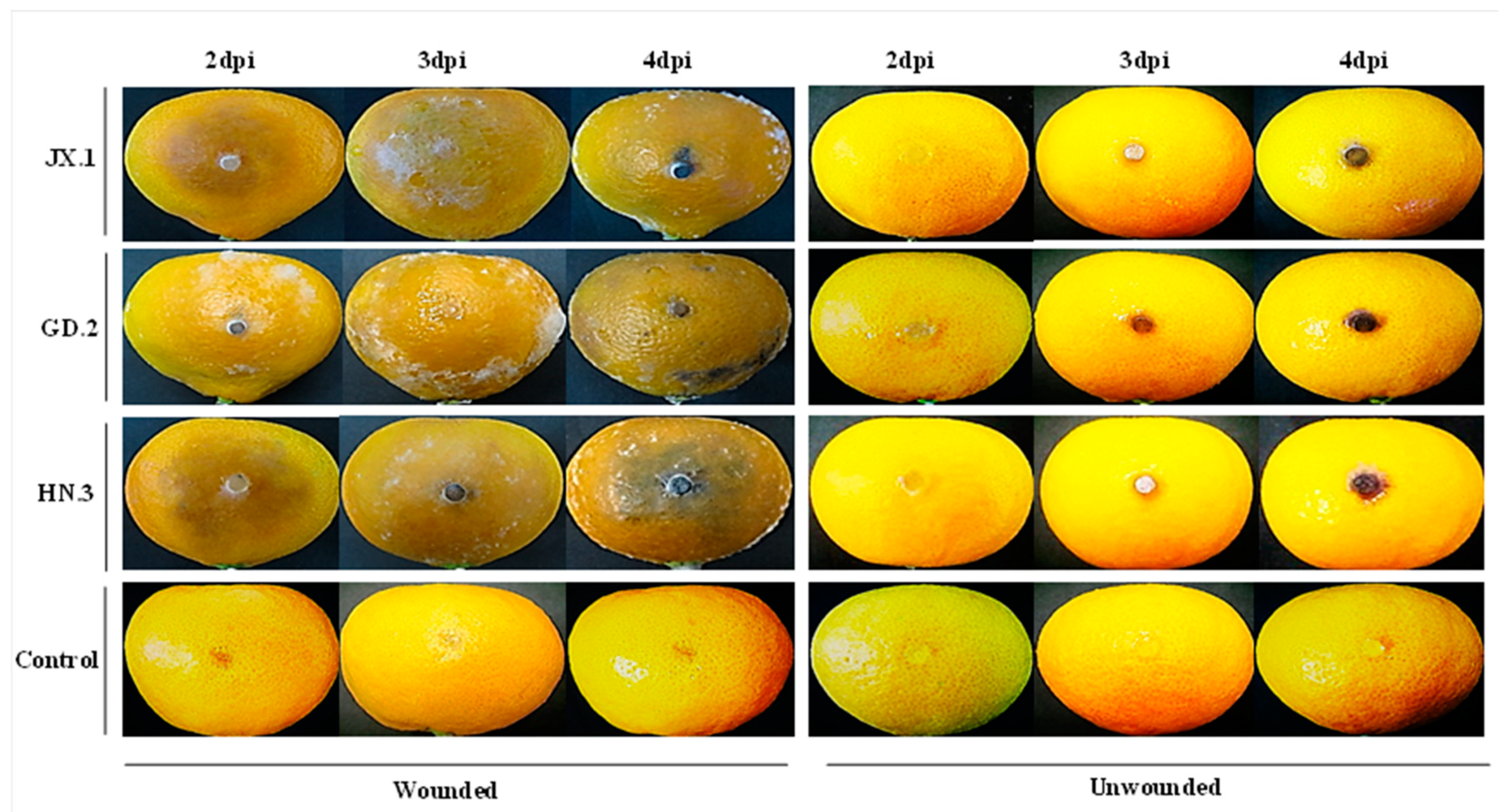 Plants 10 00202 g004 Plants 10 00202 g004
