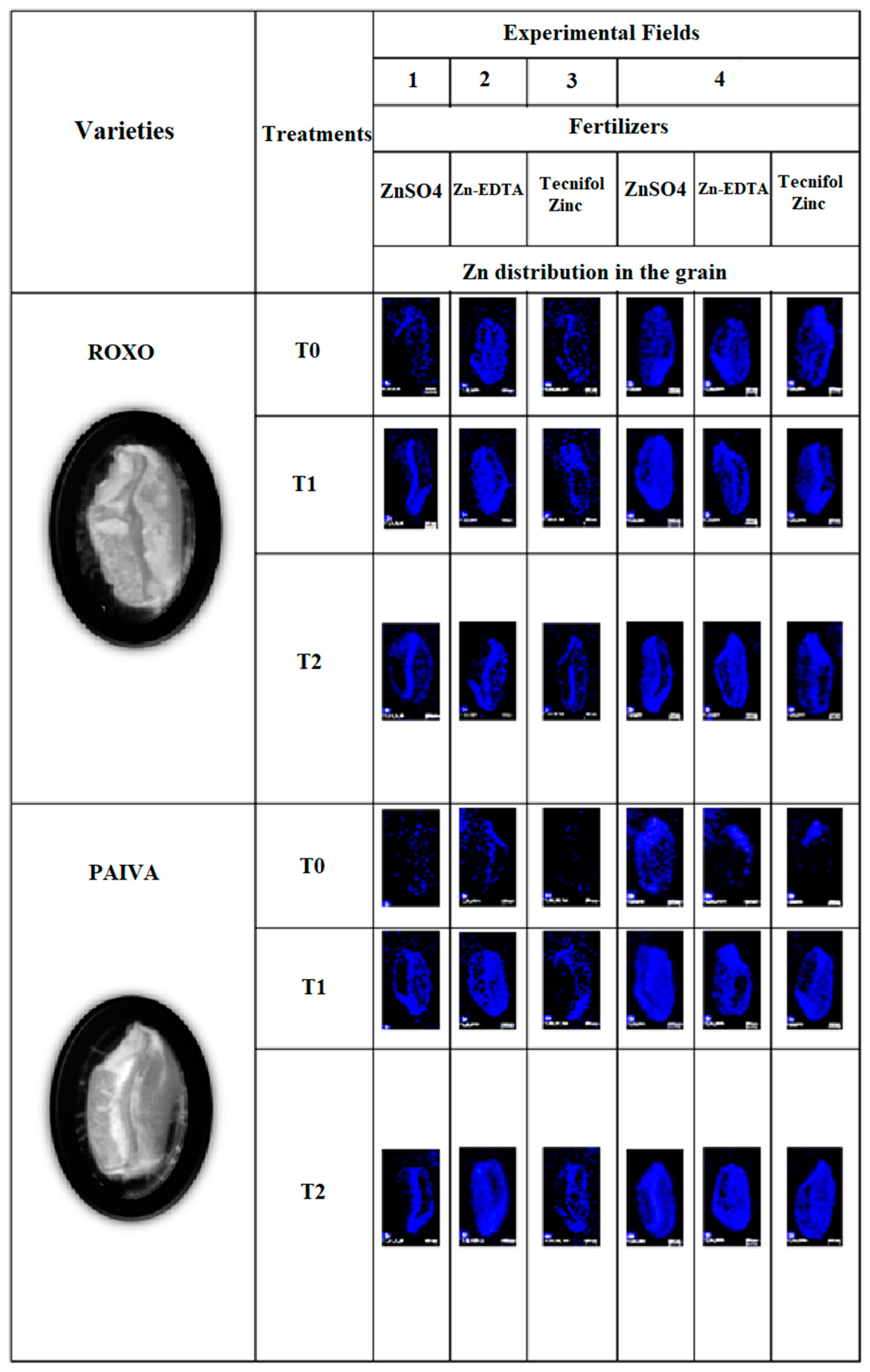 Plants 10 00204 g002 Plants 10 00204 g002