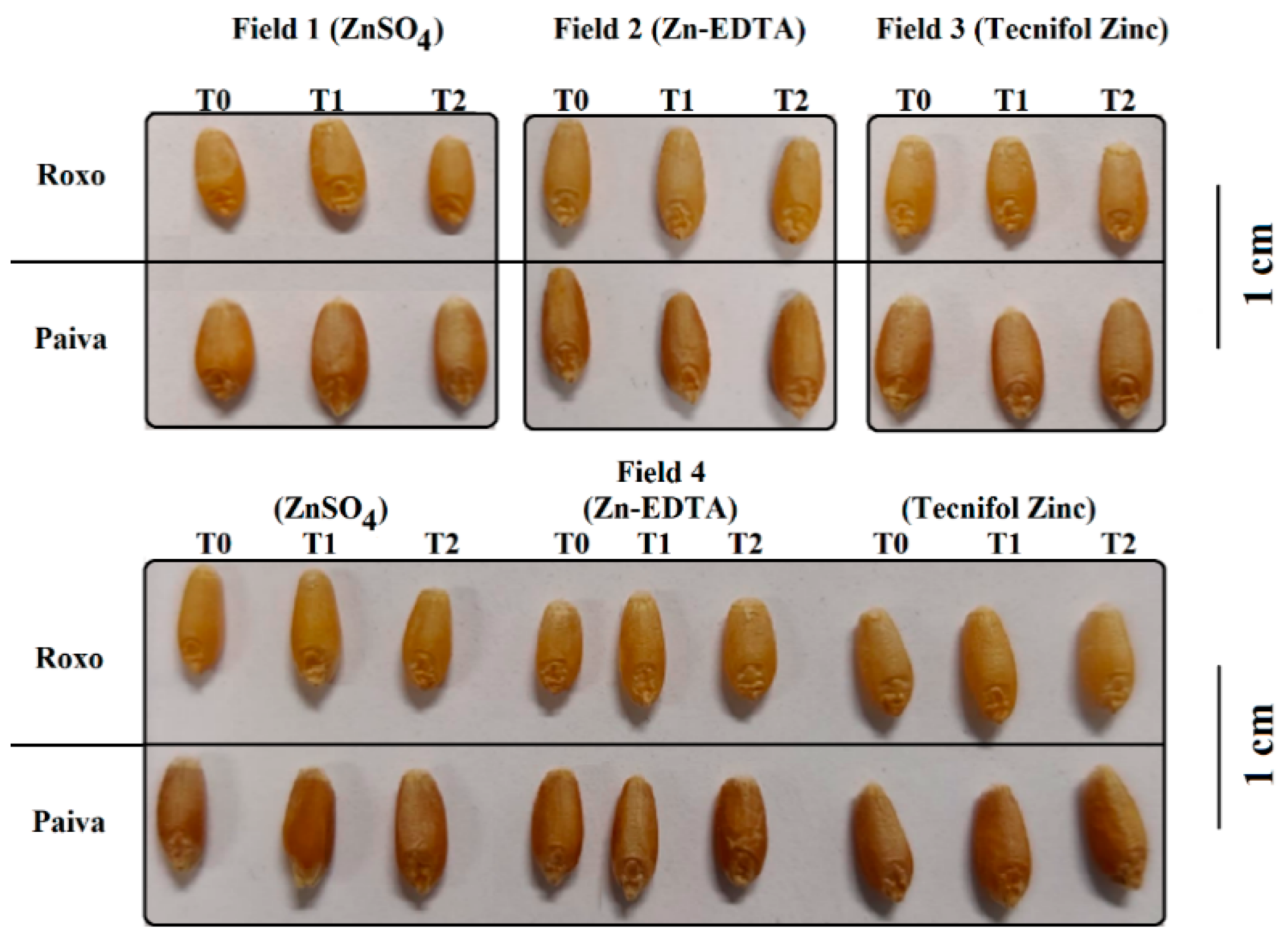 Plants 10 00204 g003 Plants 10 00204 g003
