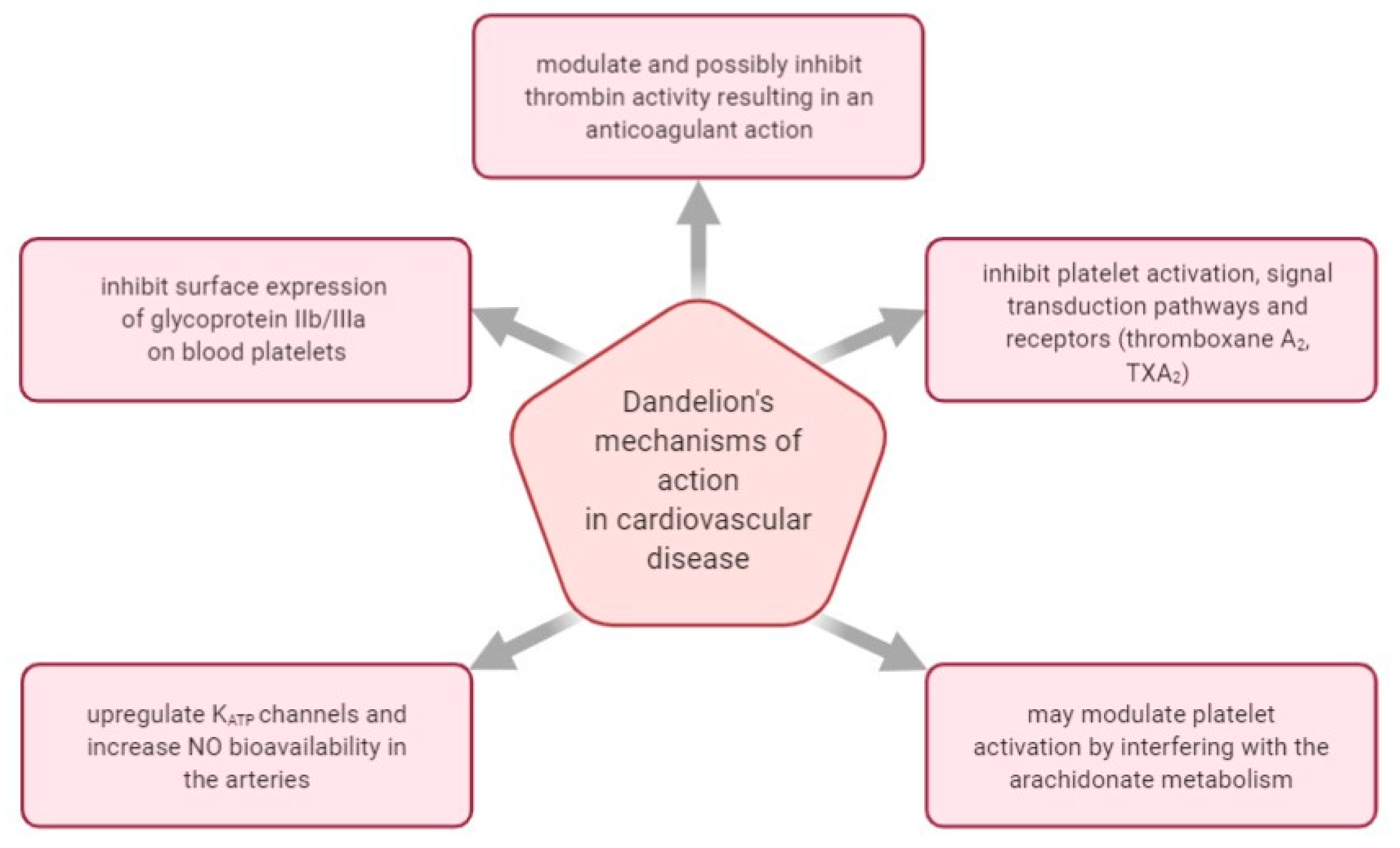 Plants 10 00216 g003