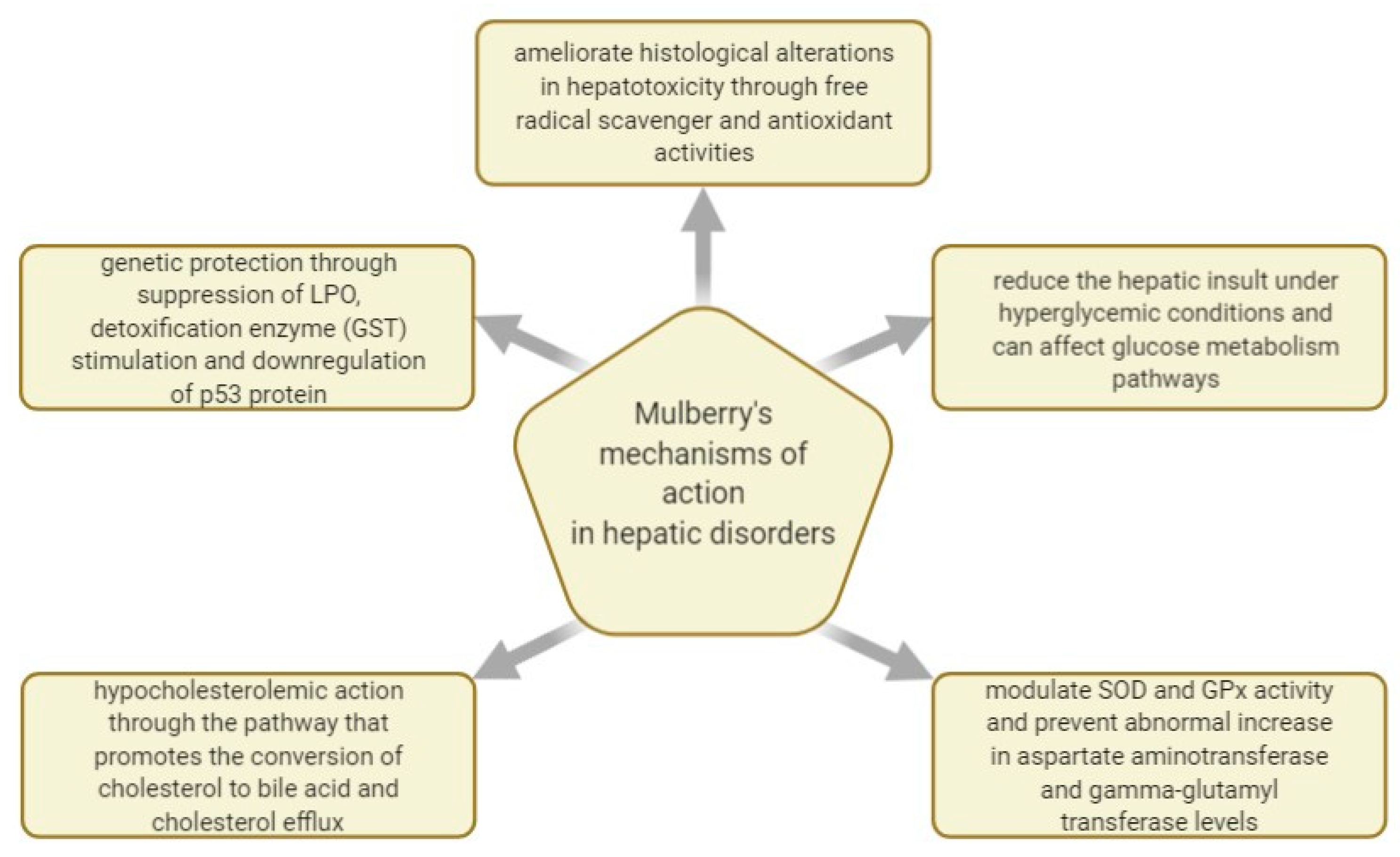 Plants 10 00216 g005