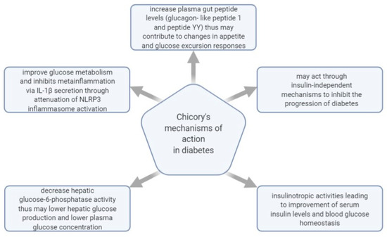 Plants 10 00216 g007 550