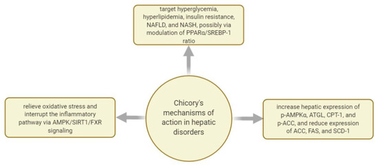 Plants 10 00216 g008 550