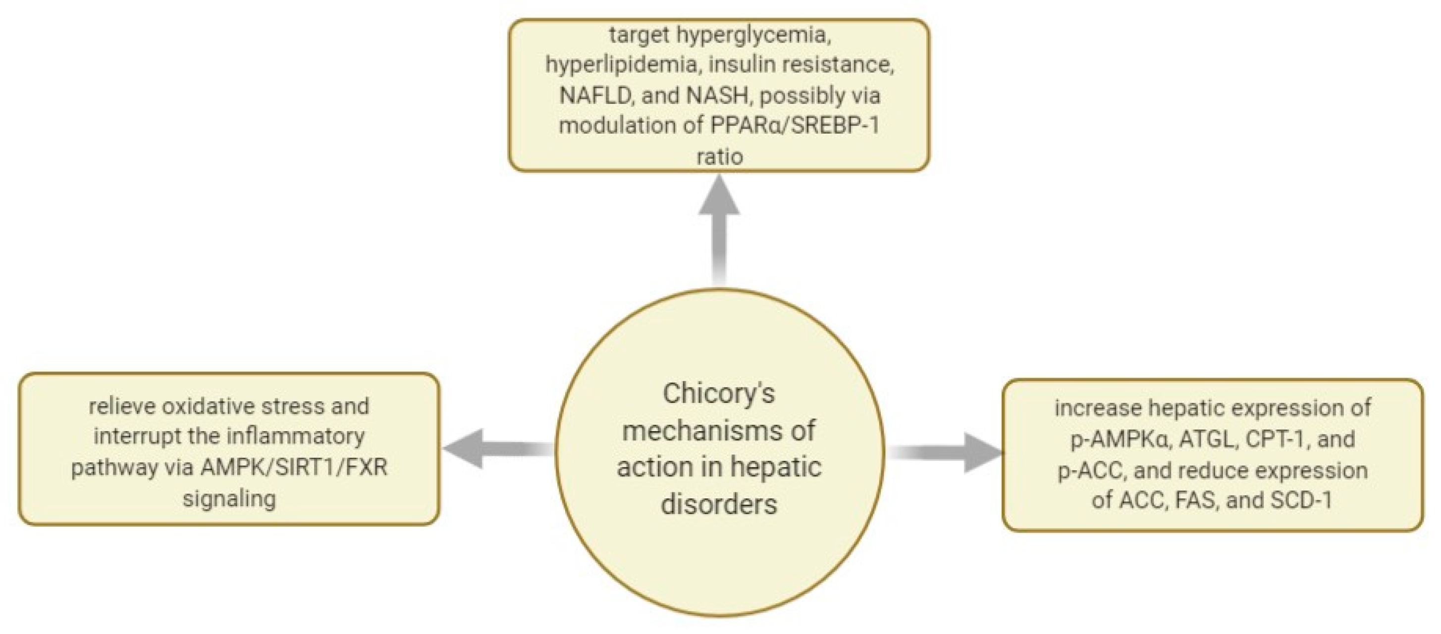 Plants 10 00216 g008