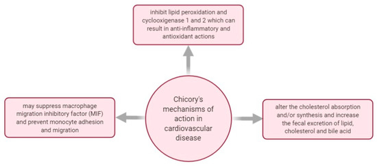 Plants 10 00216 g009 550