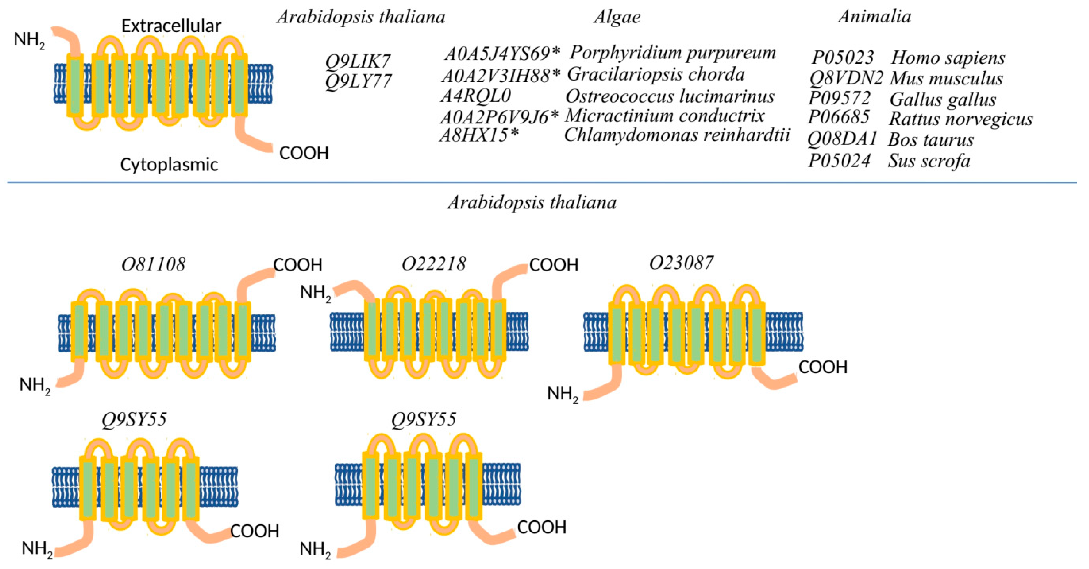 Plants 10 00221 g002
