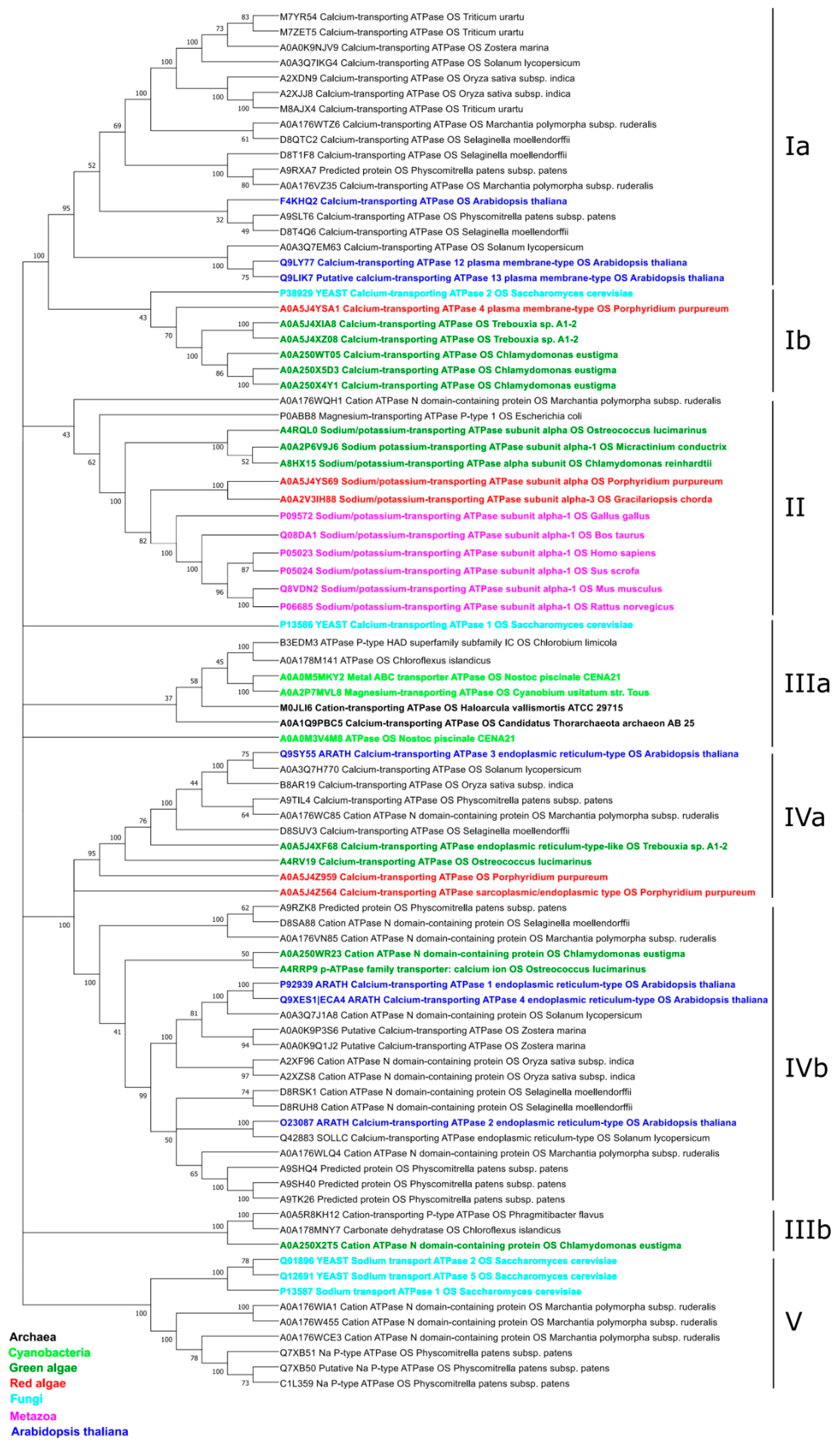 Plants 10 00221 g003