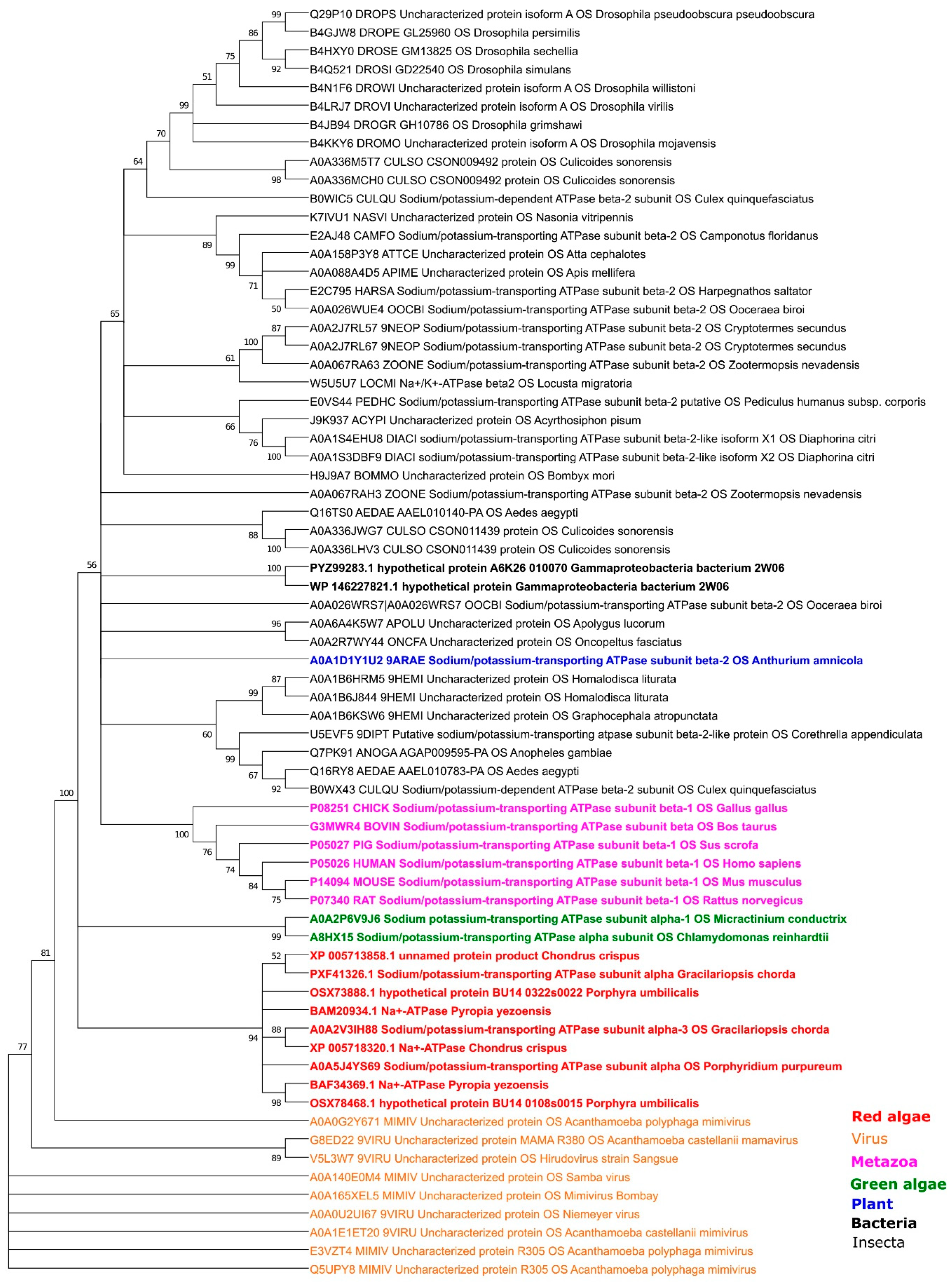 Plants 10 00221 g004