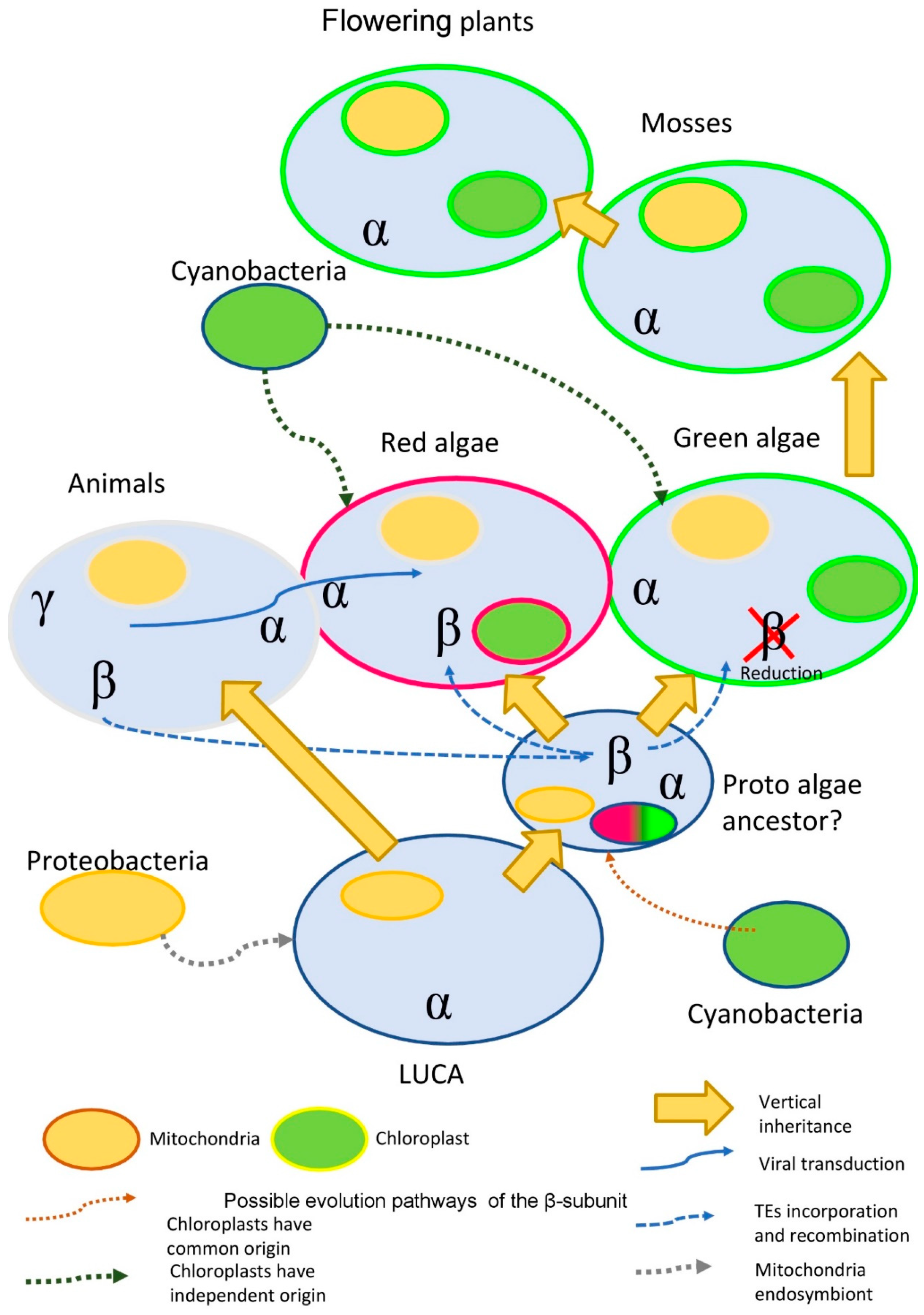 Plants 10 00221 g005