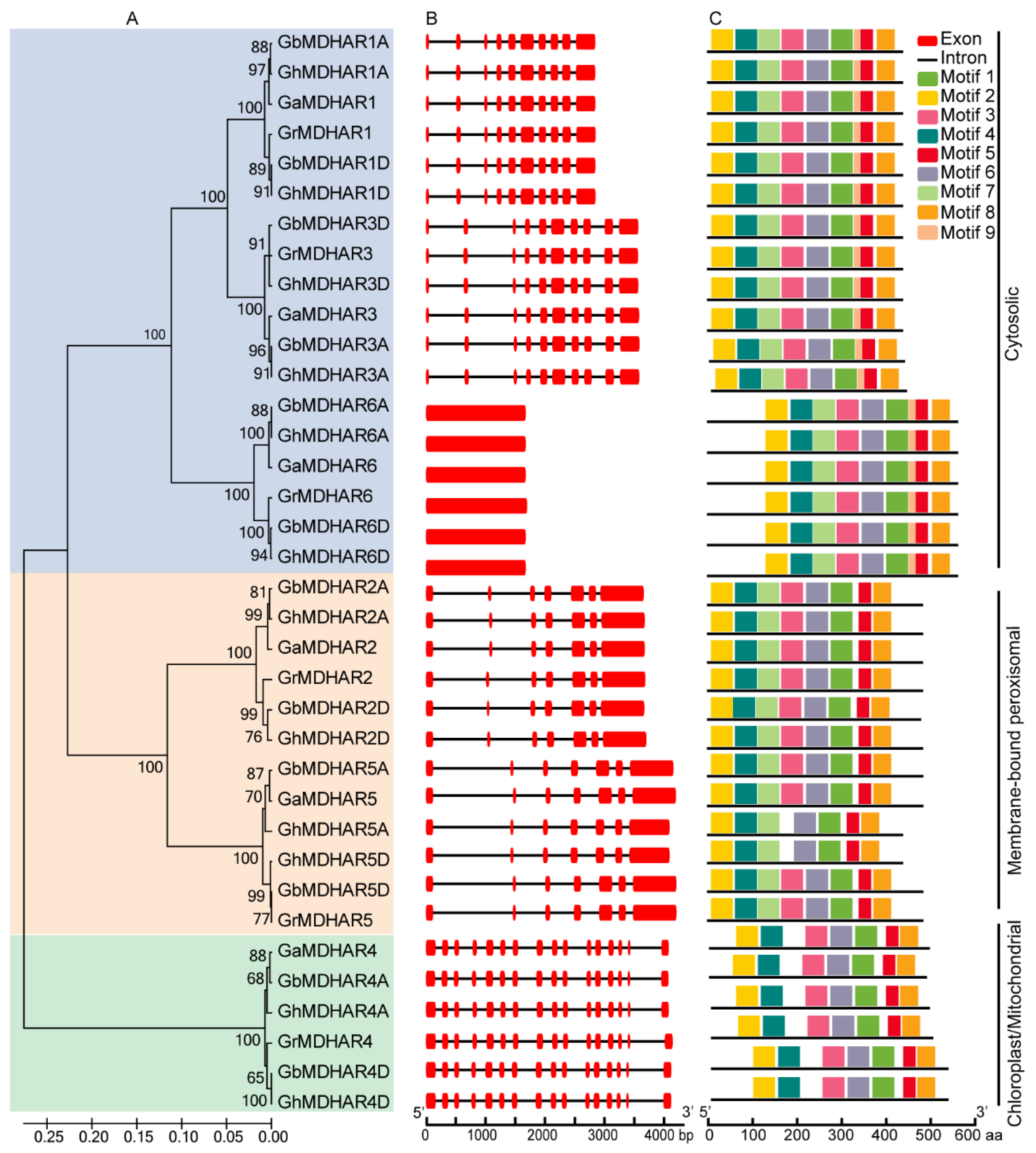 Plants 10 00227 g003 Plants 10 00227 g003