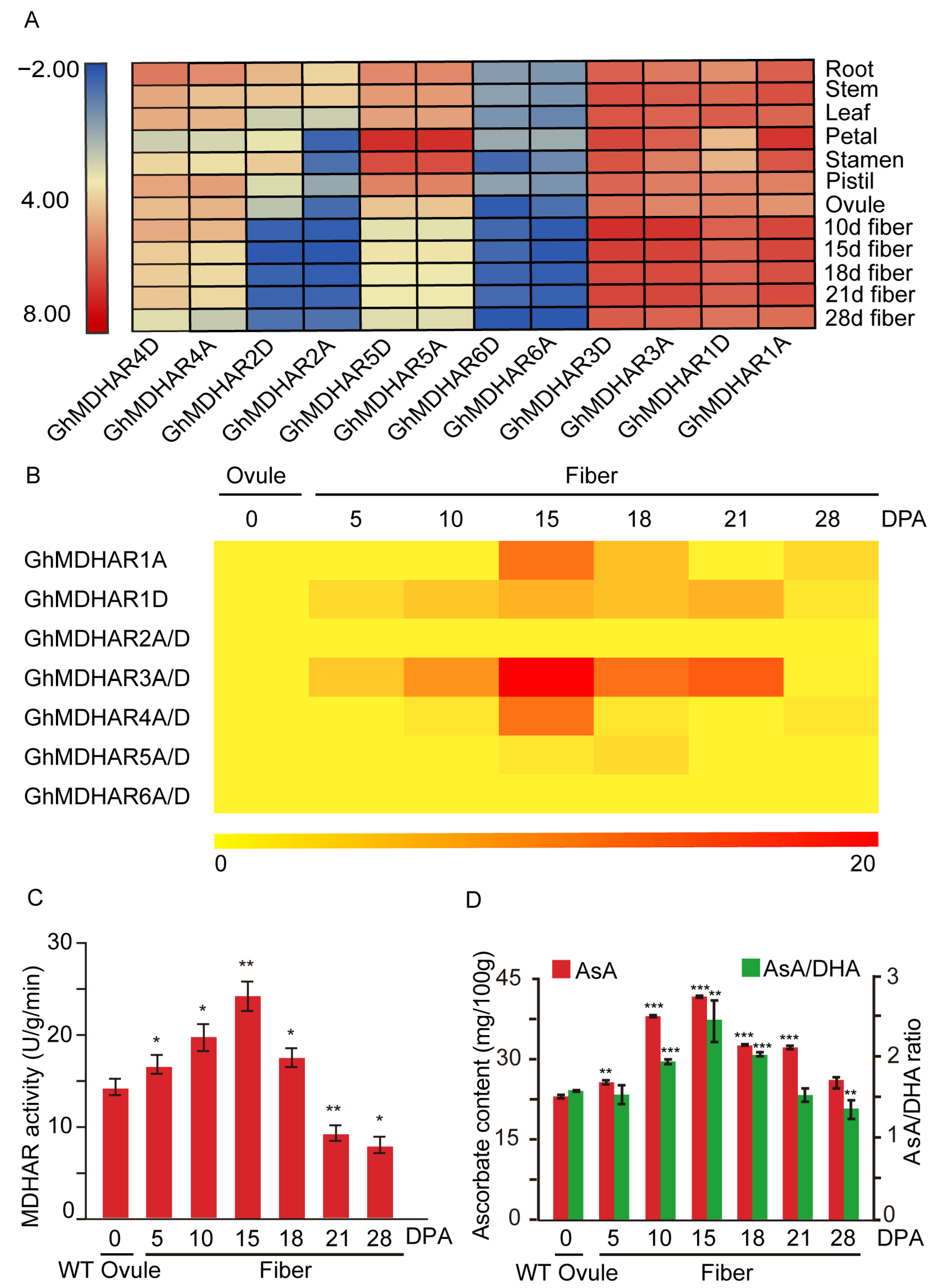 Plants 10 00227 g004 Plants 10 00227 g004