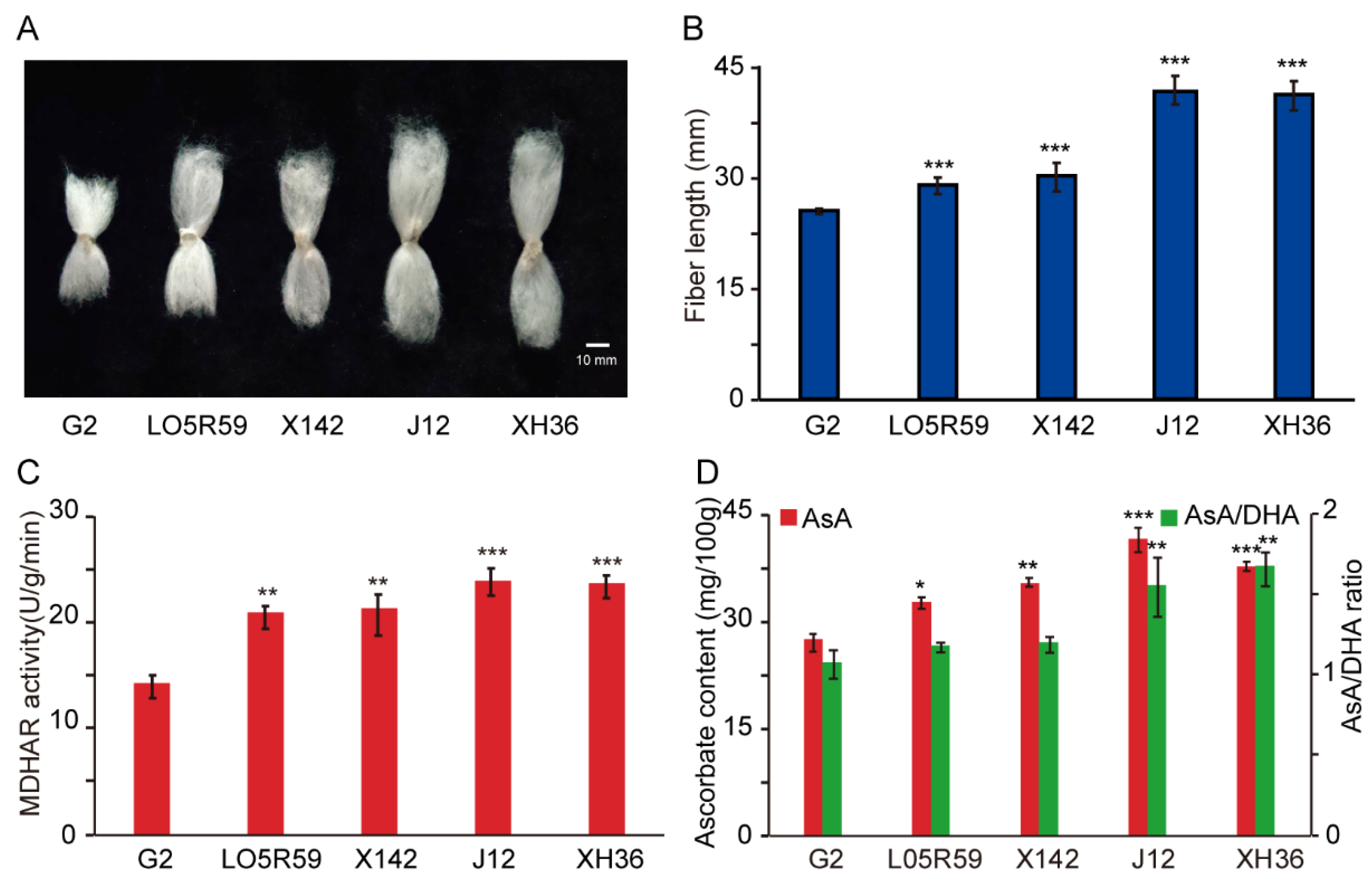 Plants 10 00227 g006 Plants 10 00227 g006