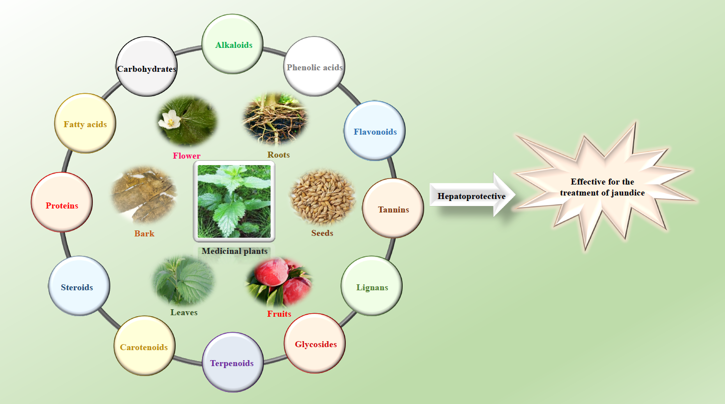 Plants Free FullText Ethnomedicinal Plants Traditionally Used for