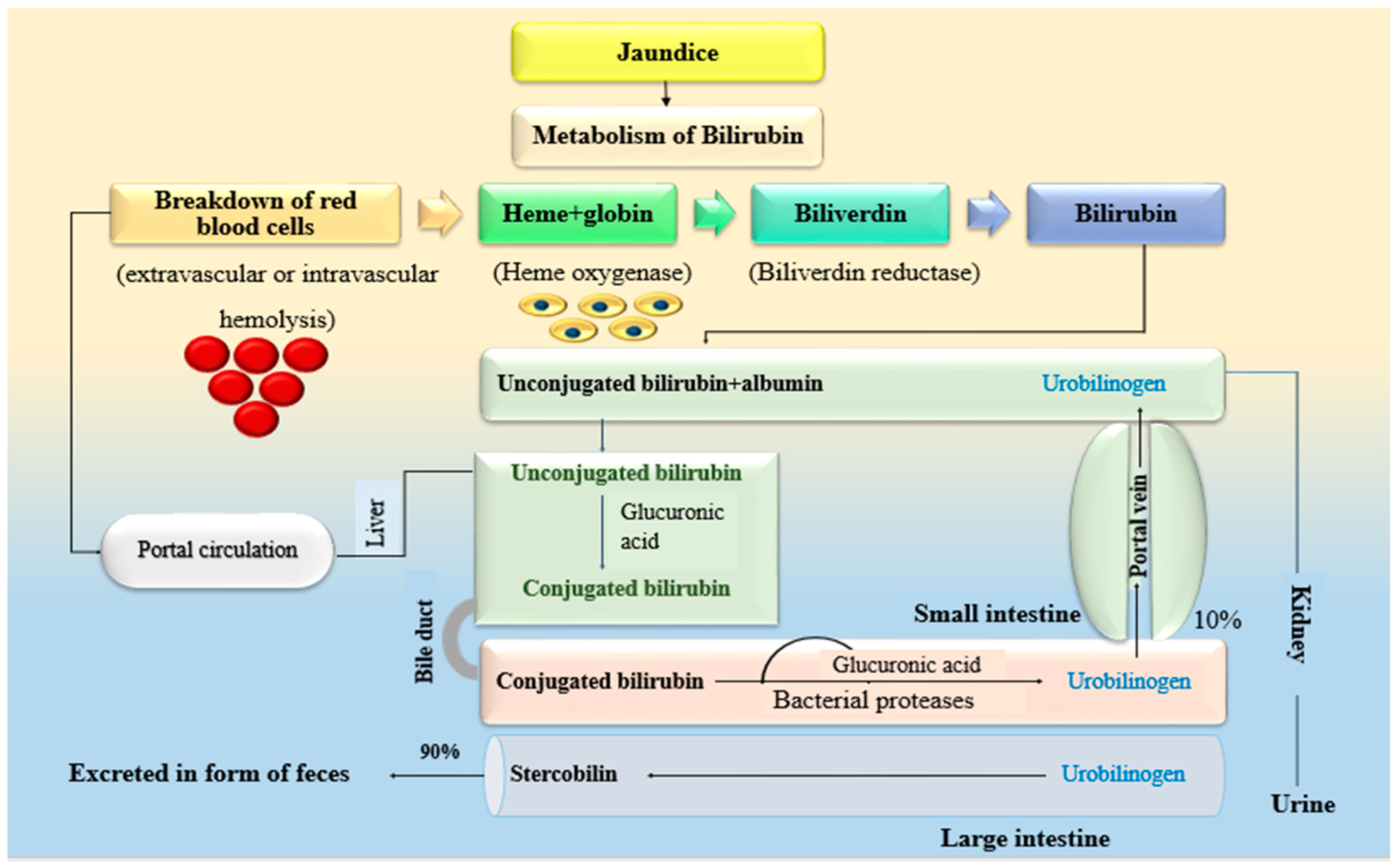 Plants 10 00232 g001 Plants 10 00232 g001