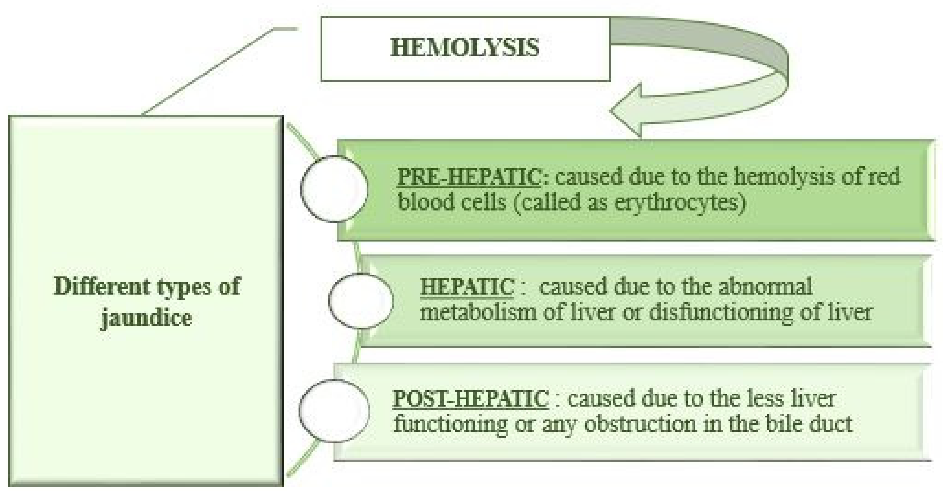 Plants 10 00232 g002 Plants 10 00232 g002