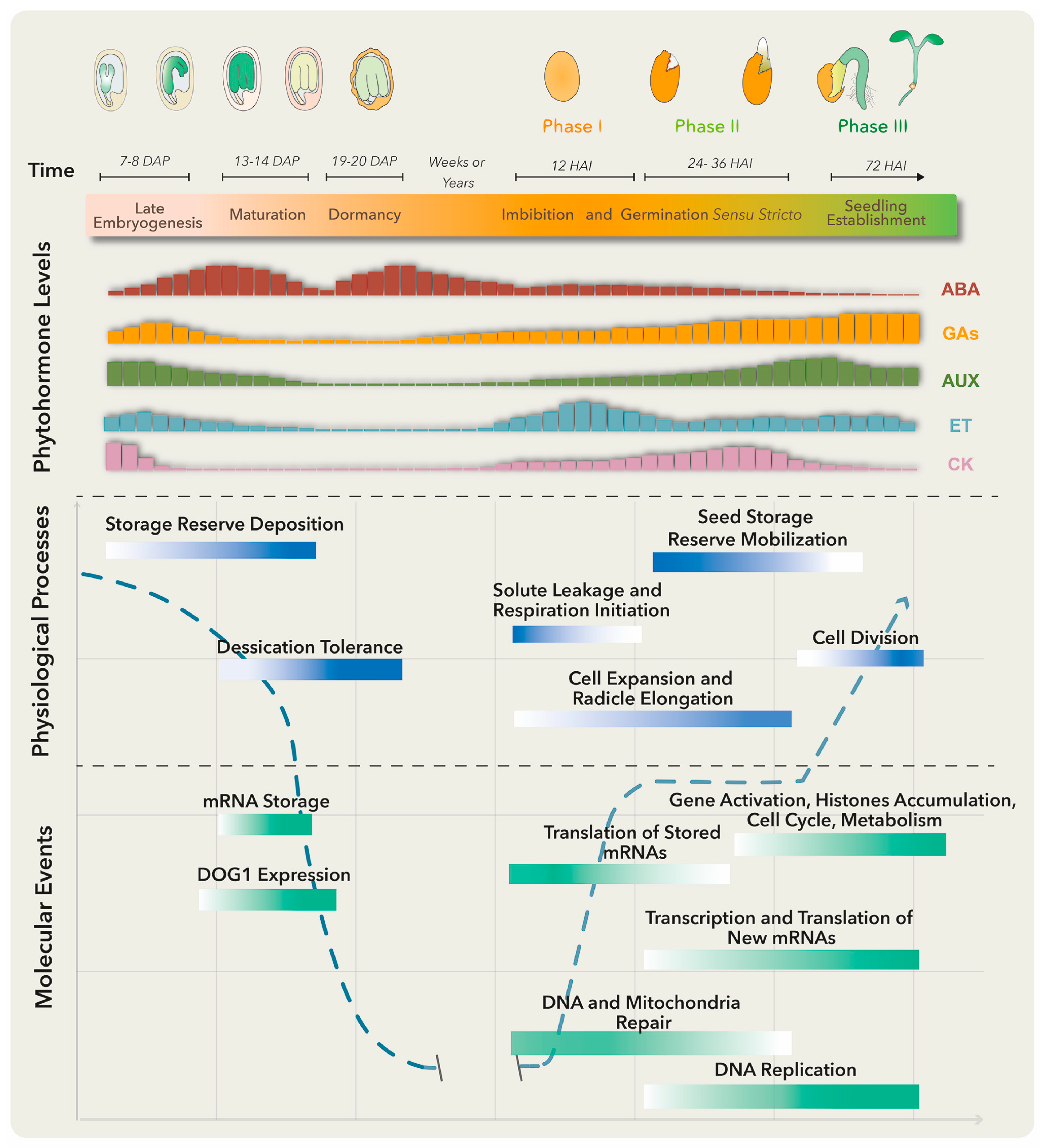 Plants 10 00236 g001