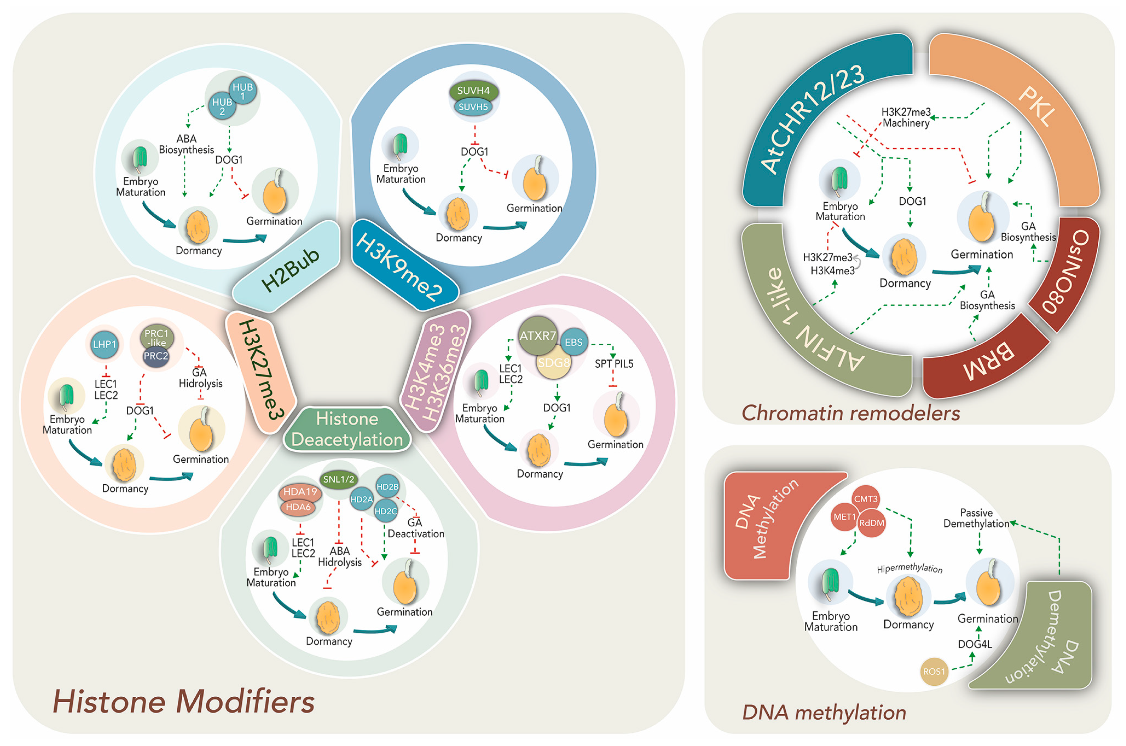 Plants 10 00236 g002