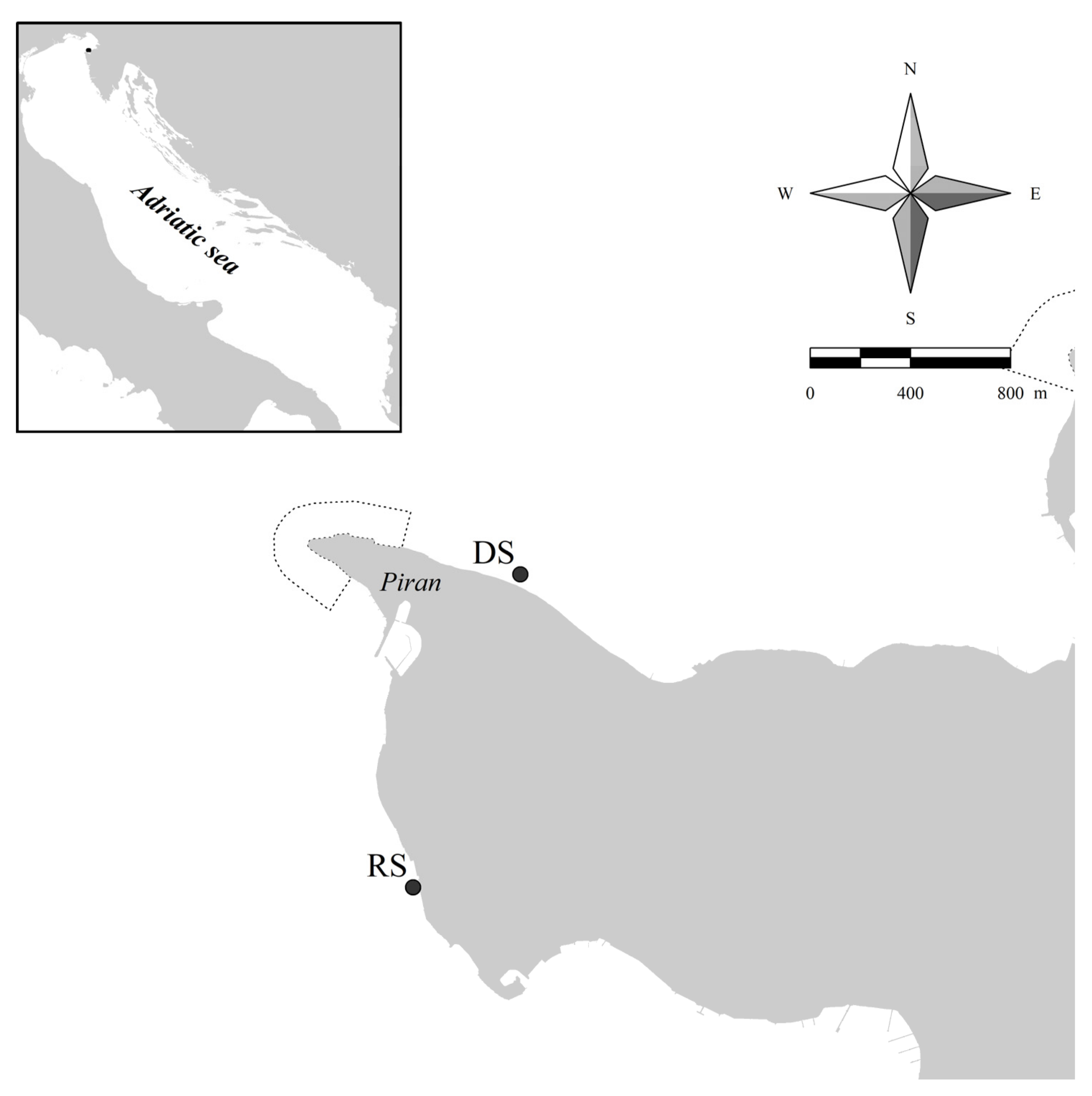 Plants 10 00239 g001 Plants 10 00239 g001