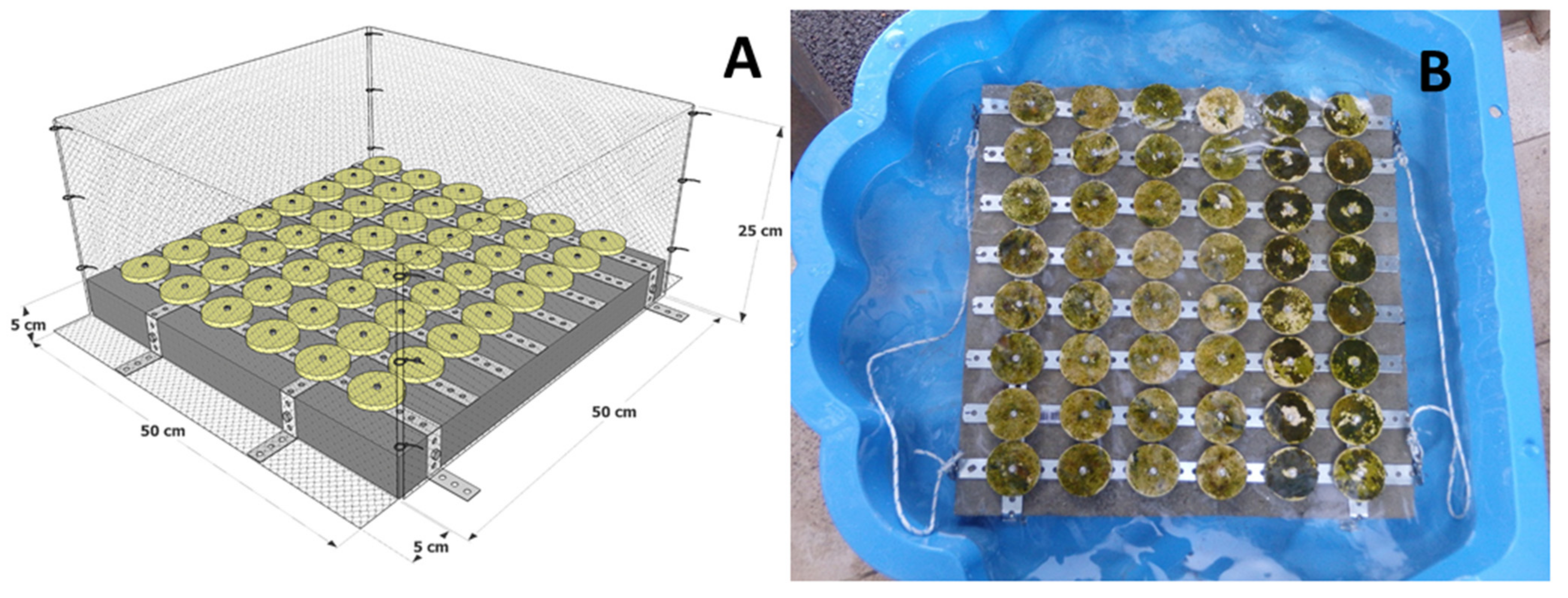 Plants 10 00239 g004 Plants 10 00239 g004