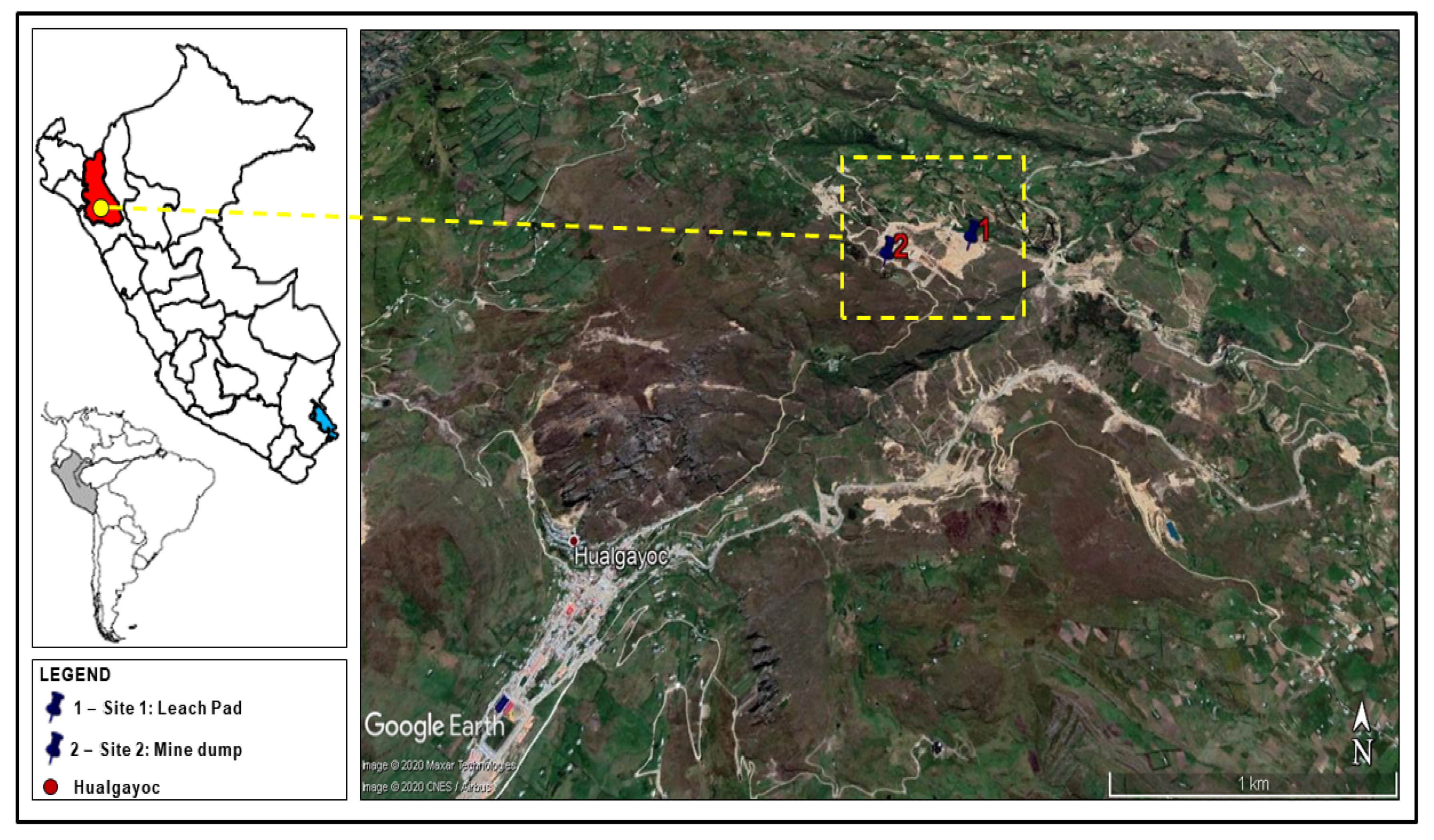 Plants 10 00241 g001 Plants 10 00241 g001