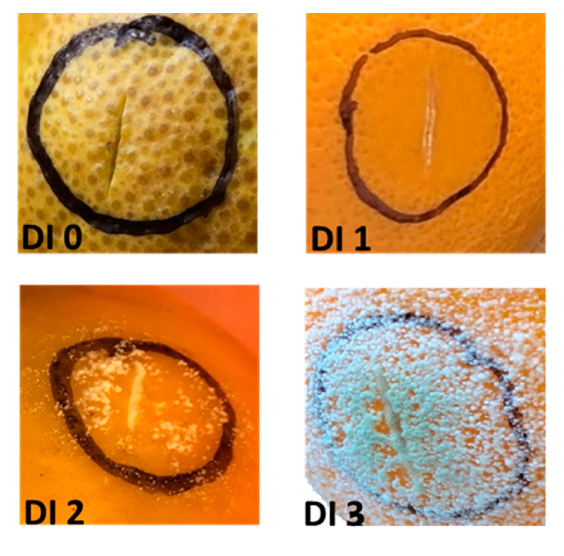 Plants 10 00244 g001 Plants 10 00244 g001