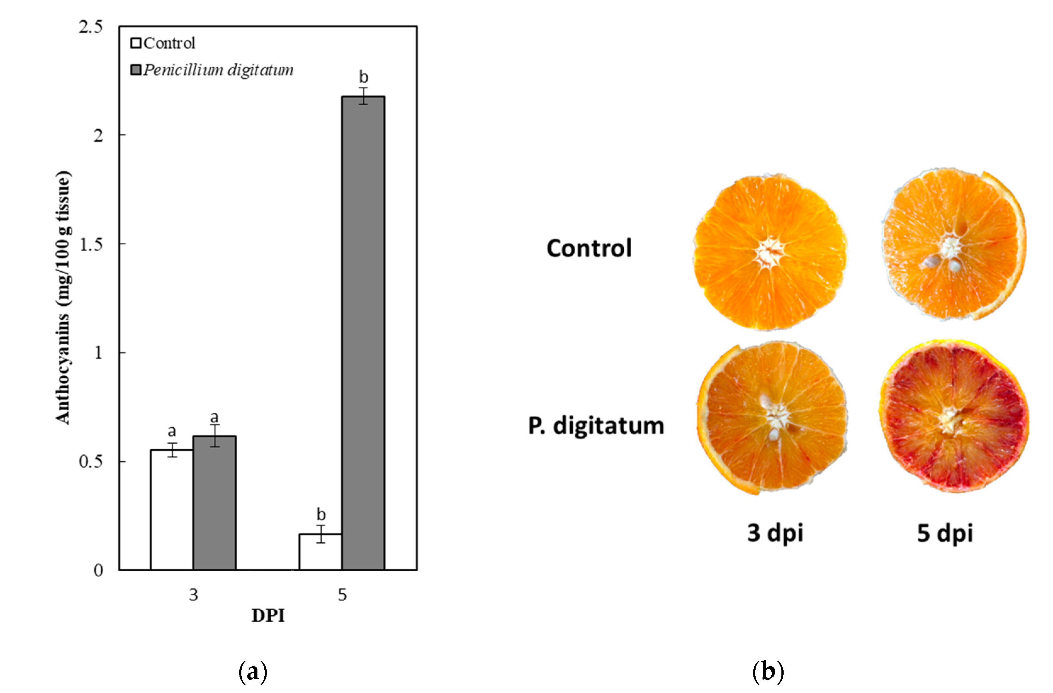 Plants 10 00244 g002 Plants 10 00244 g002