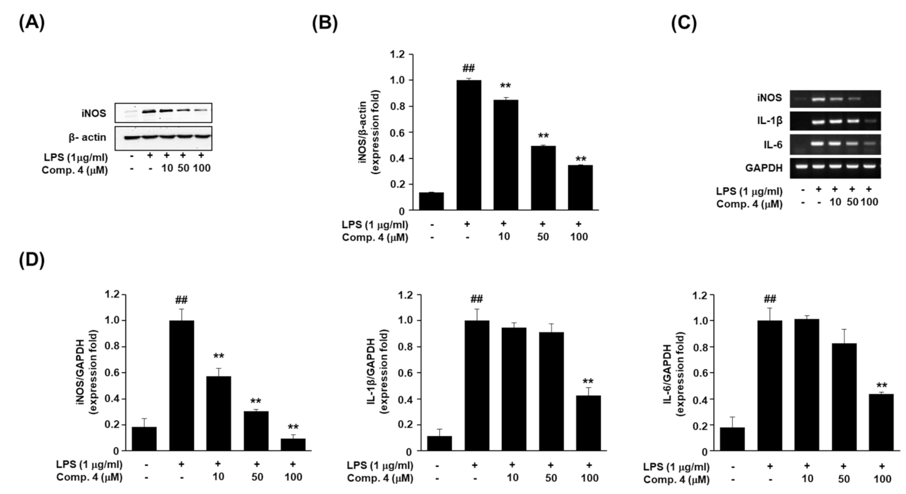 Plants 10 00257 g002