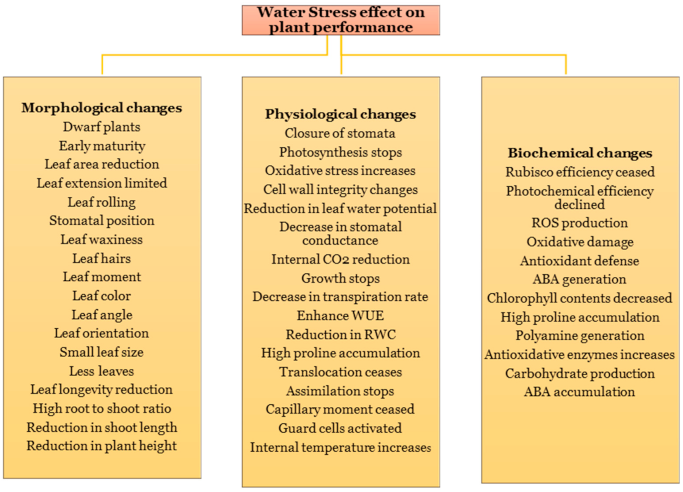 PDF) Effects of the size of sown seed on growth and yield of