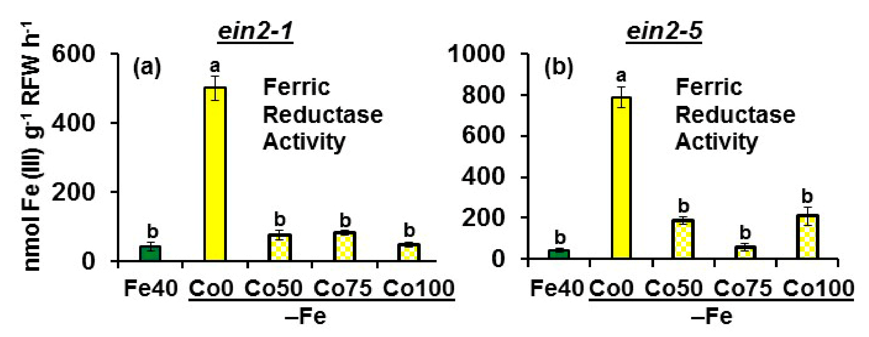 Plants 10 00262 g003 Plants 10 00262 g003