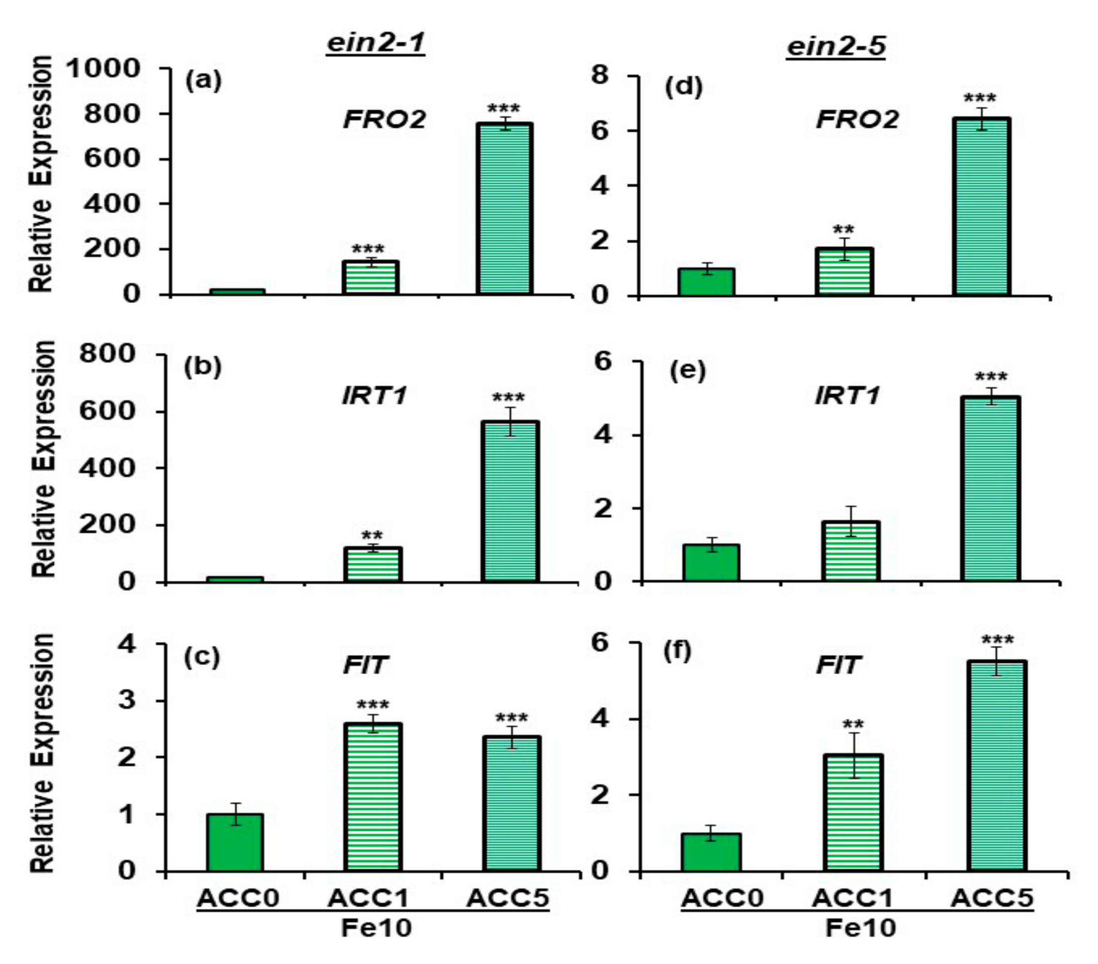 Plants 10 00262 g004 Plants 10 00262 g004