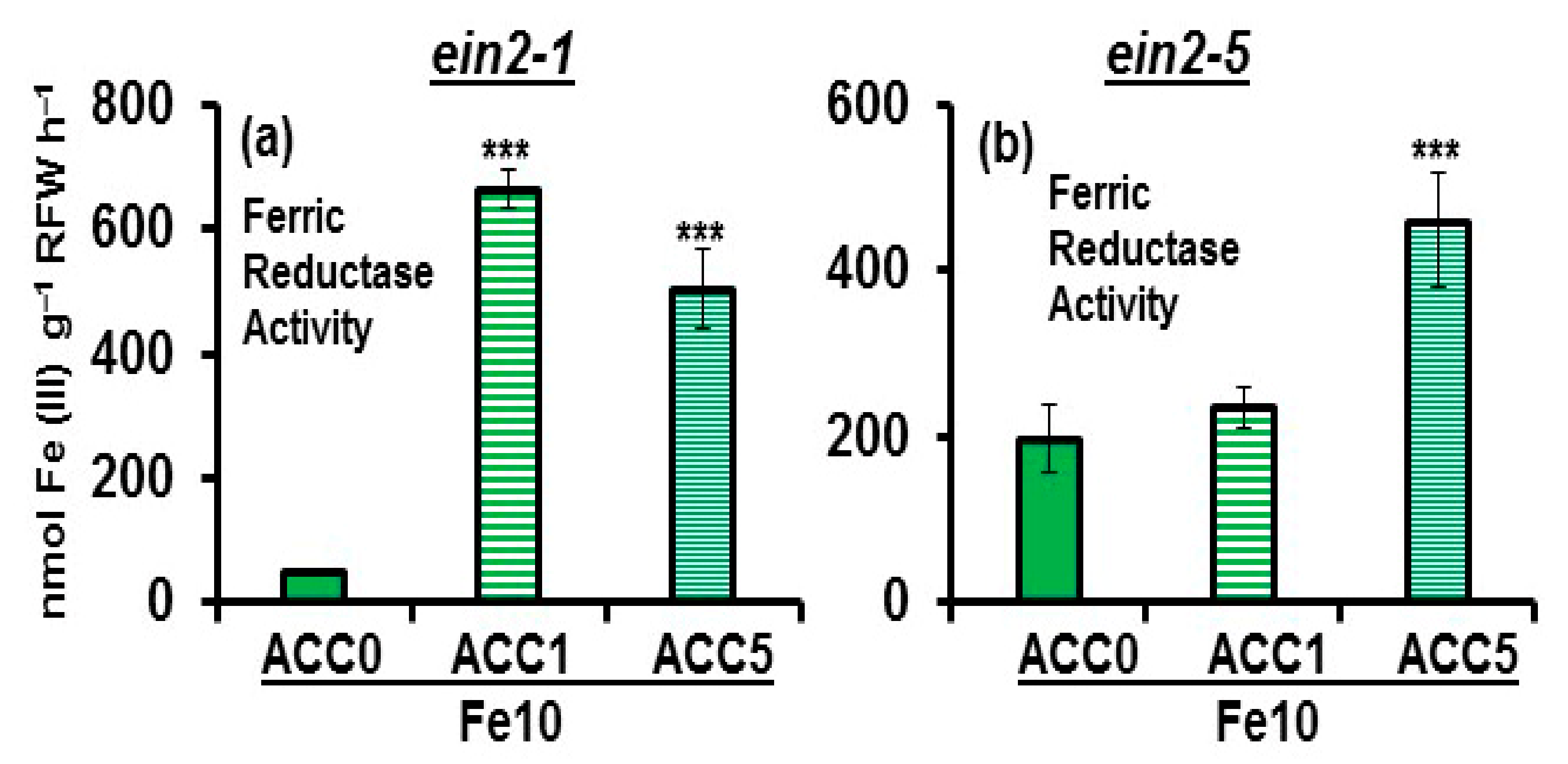 Plants 10 00262 g005 Plants 10 00262 g005