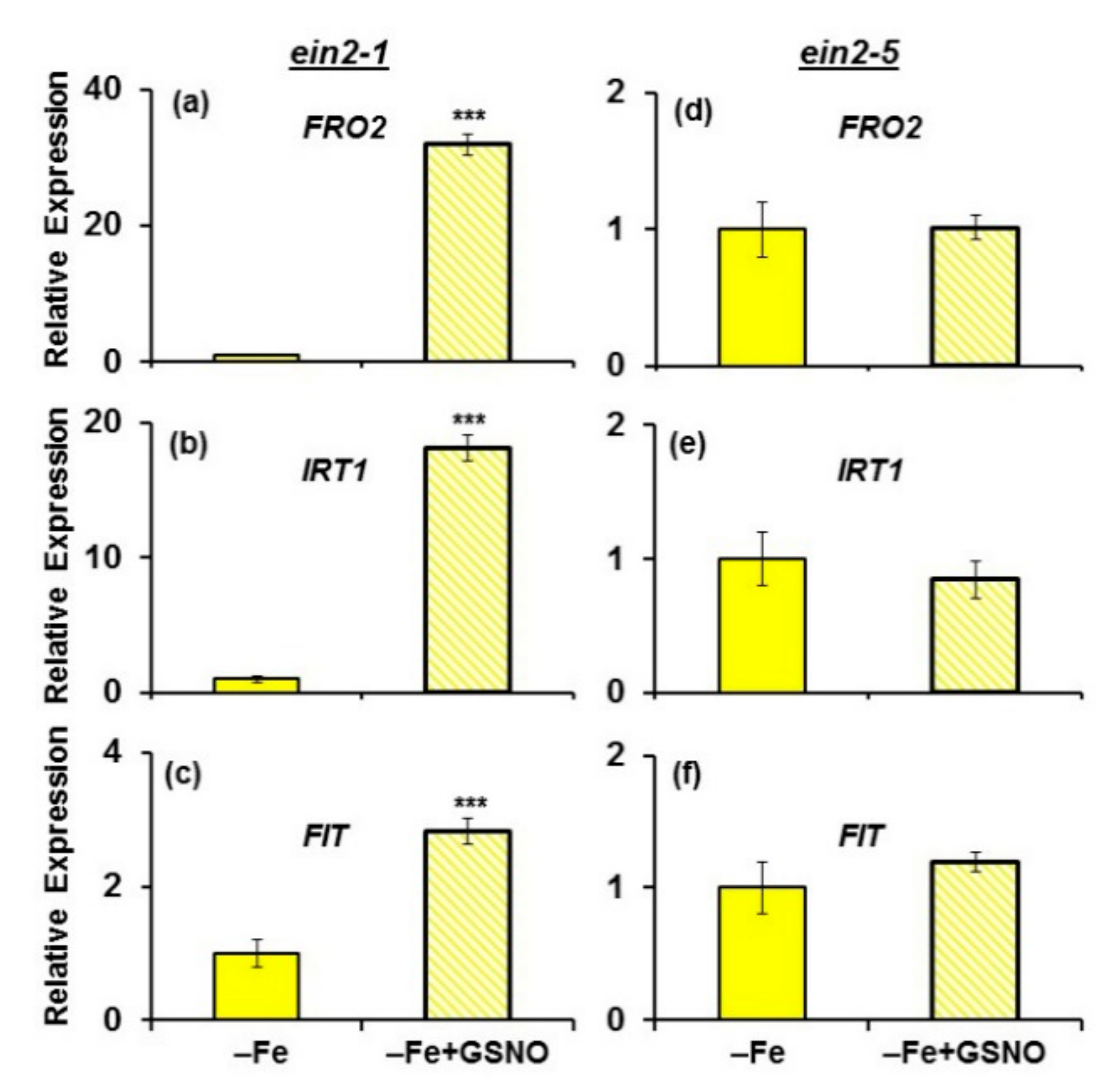 Plants 10 00262 g008 Plants 10 00262 g008