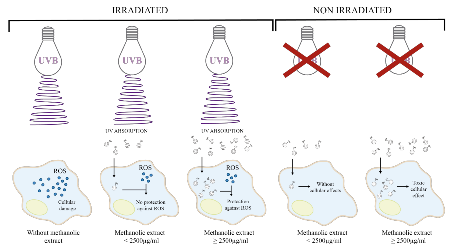 Plants 10 00266 g004 Plants 10 00266 g004
