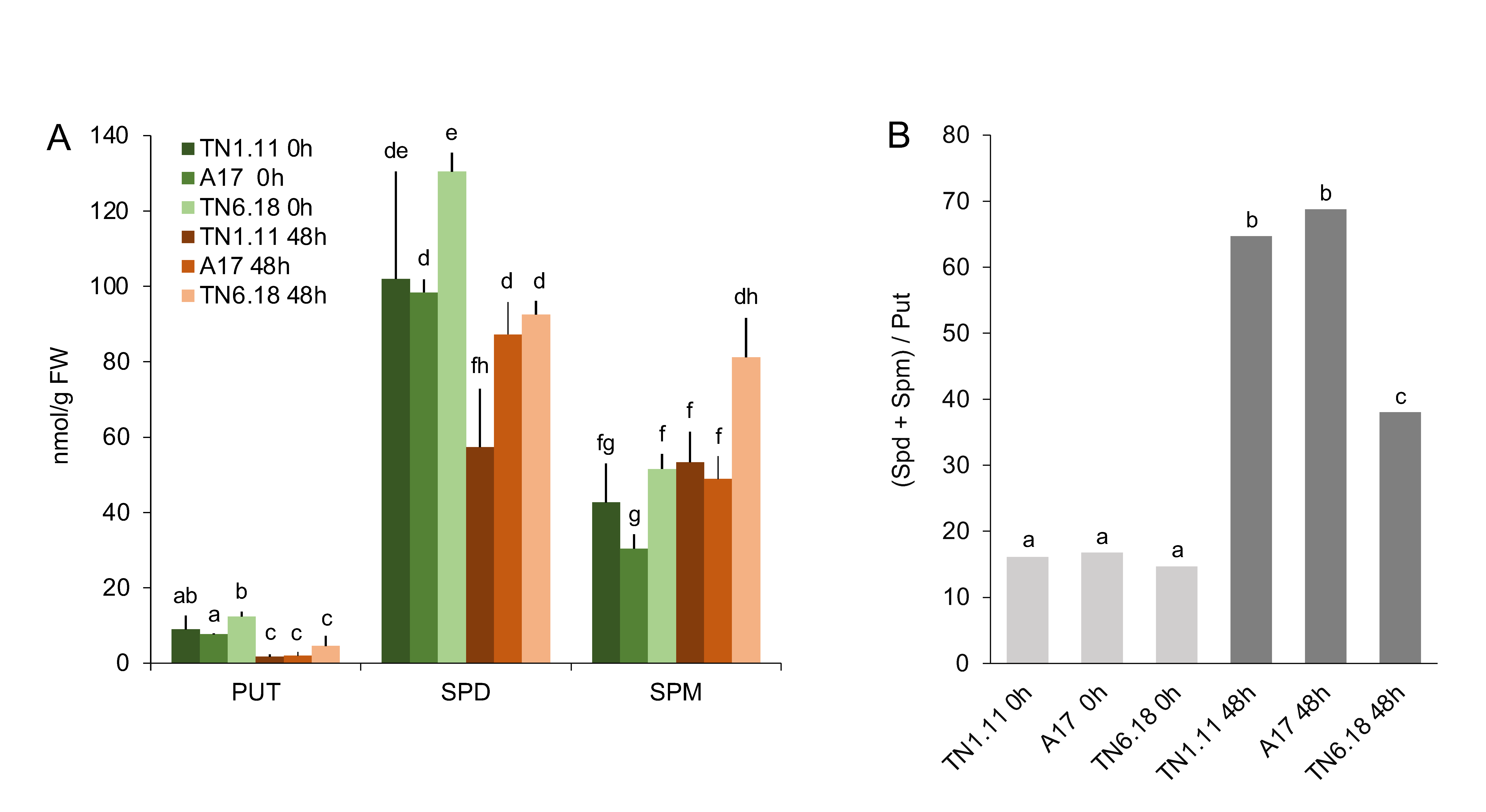 Plants 10 00269 g002